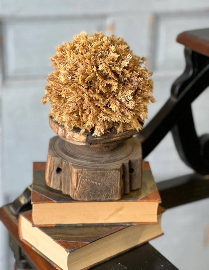 Sungold Half Sphere | 6" | Fall floral home decor