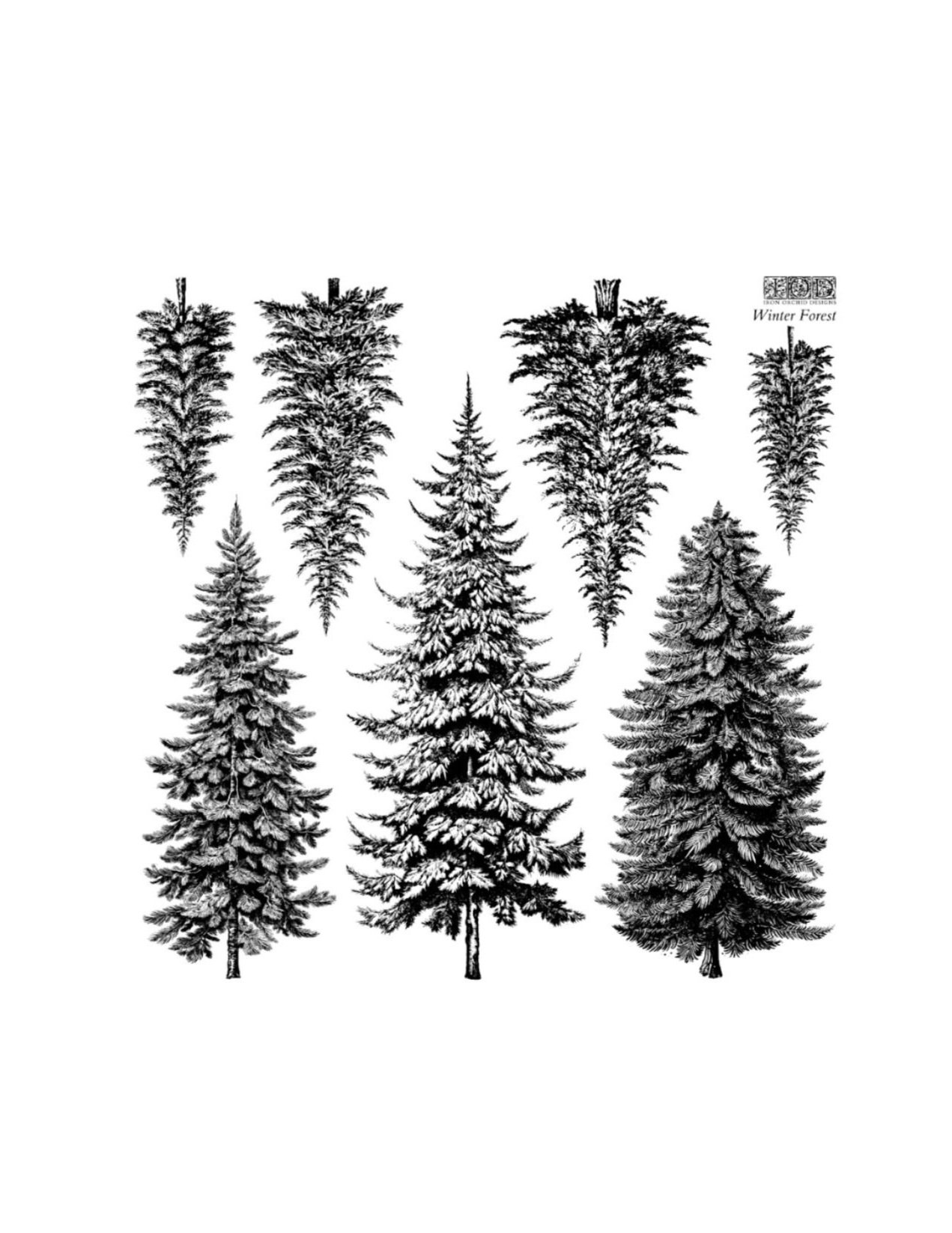Untitled+design+%286%29.jpg