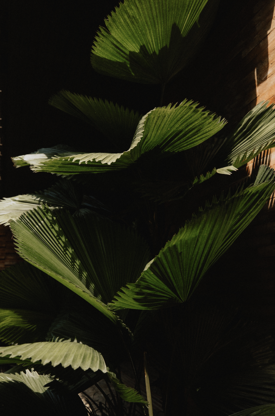 Screenshot 2025-07-13 at 10.15.17 PM.png