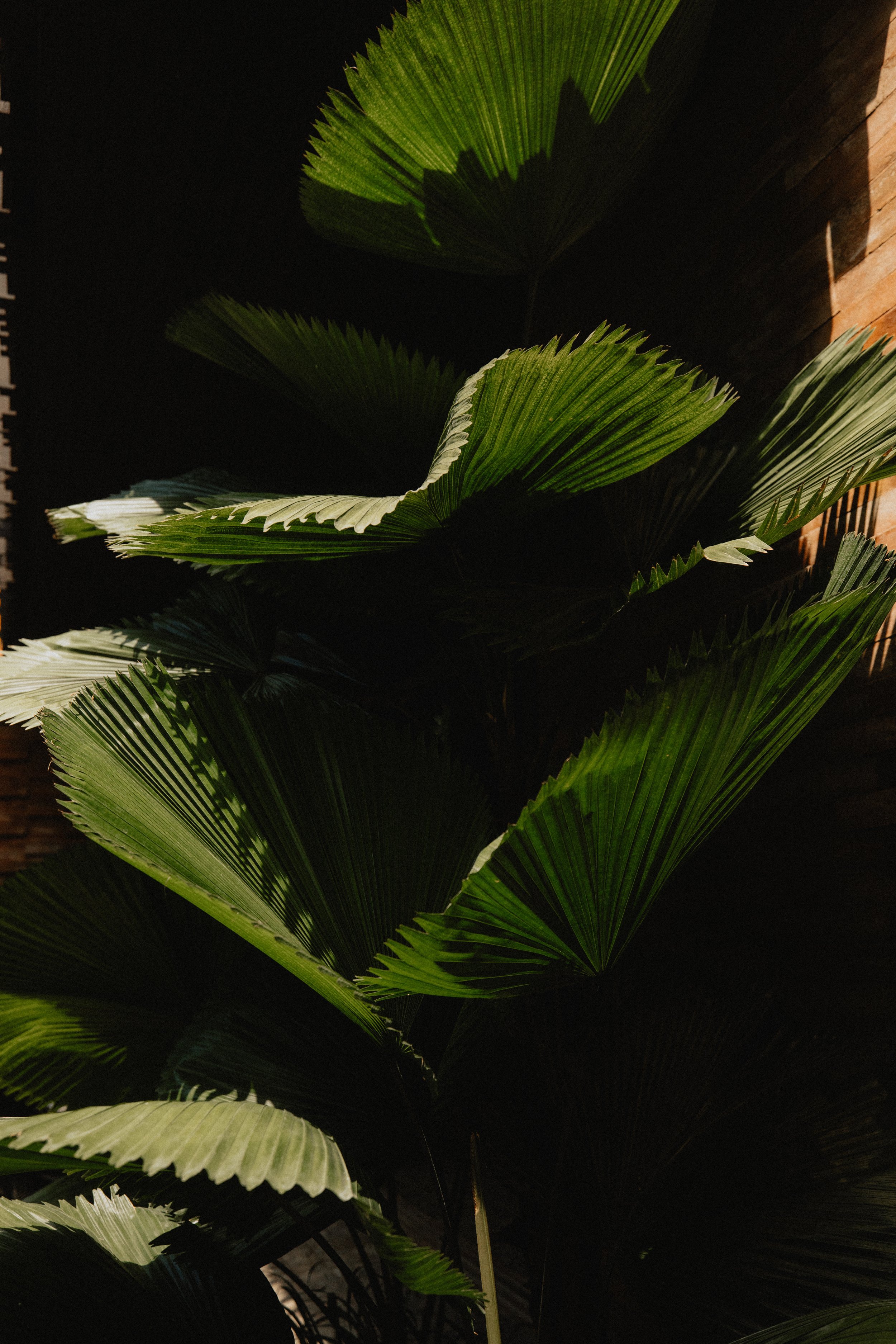 1B3A7944 copy small.jpeg