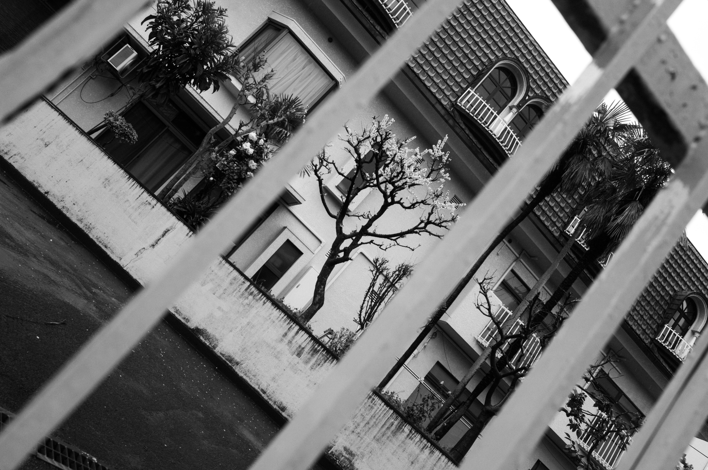 Screenshot 2025-12-03 at 7.44.37 PM.png