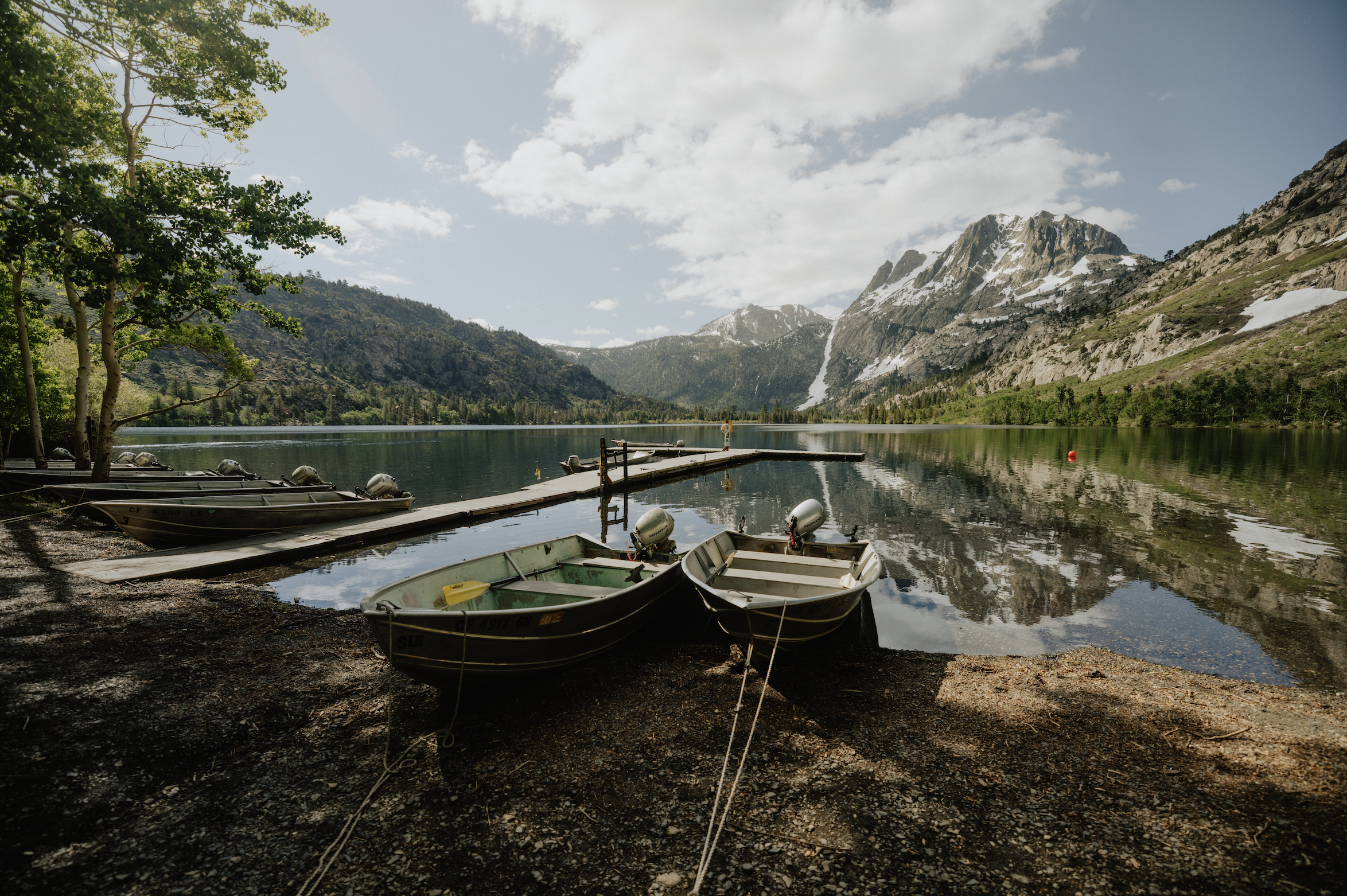 Screenshot 2026-03-20 at 8.34.08 PM.png