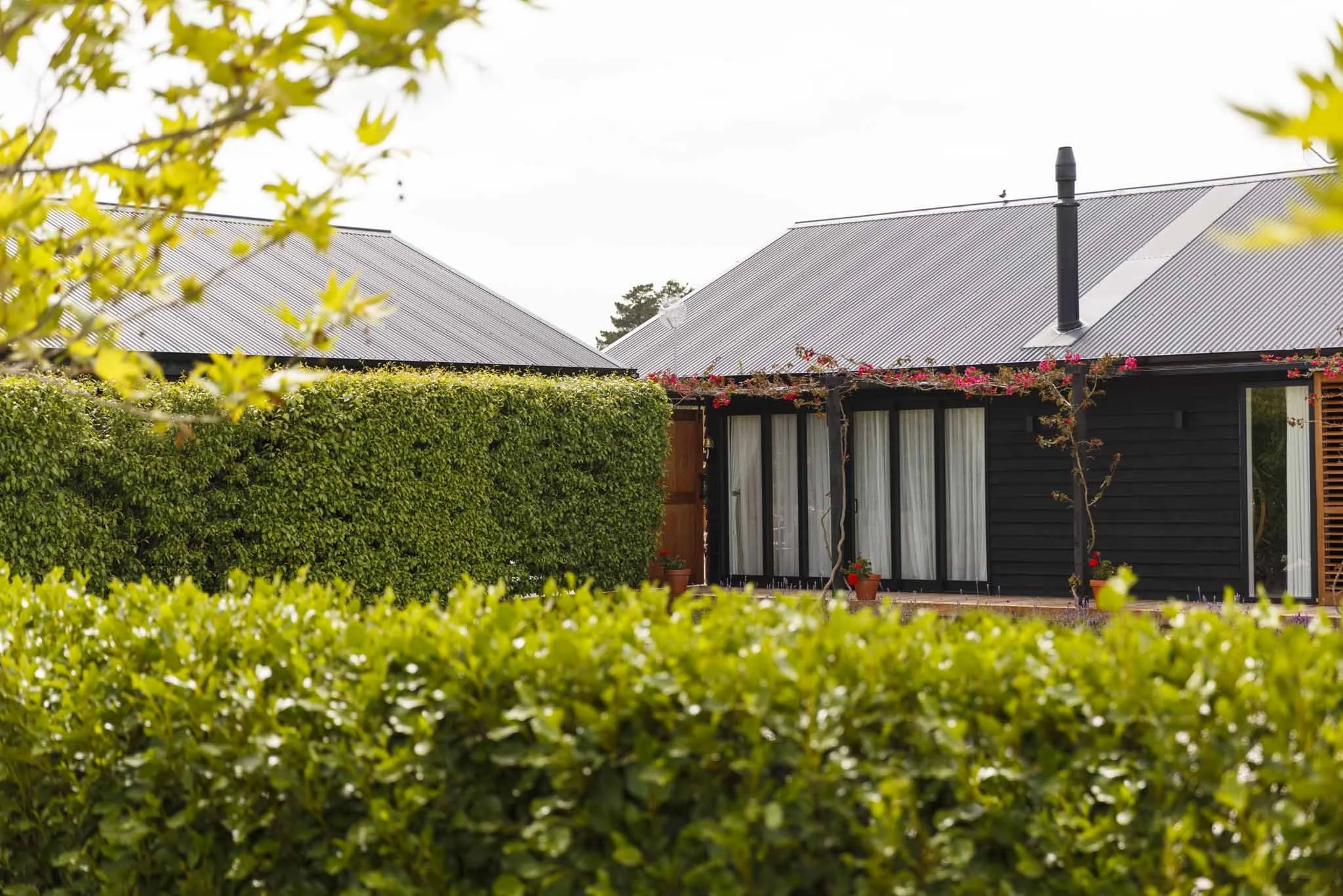 LAKEVIEW OCT2021-WEB-6078.JPG