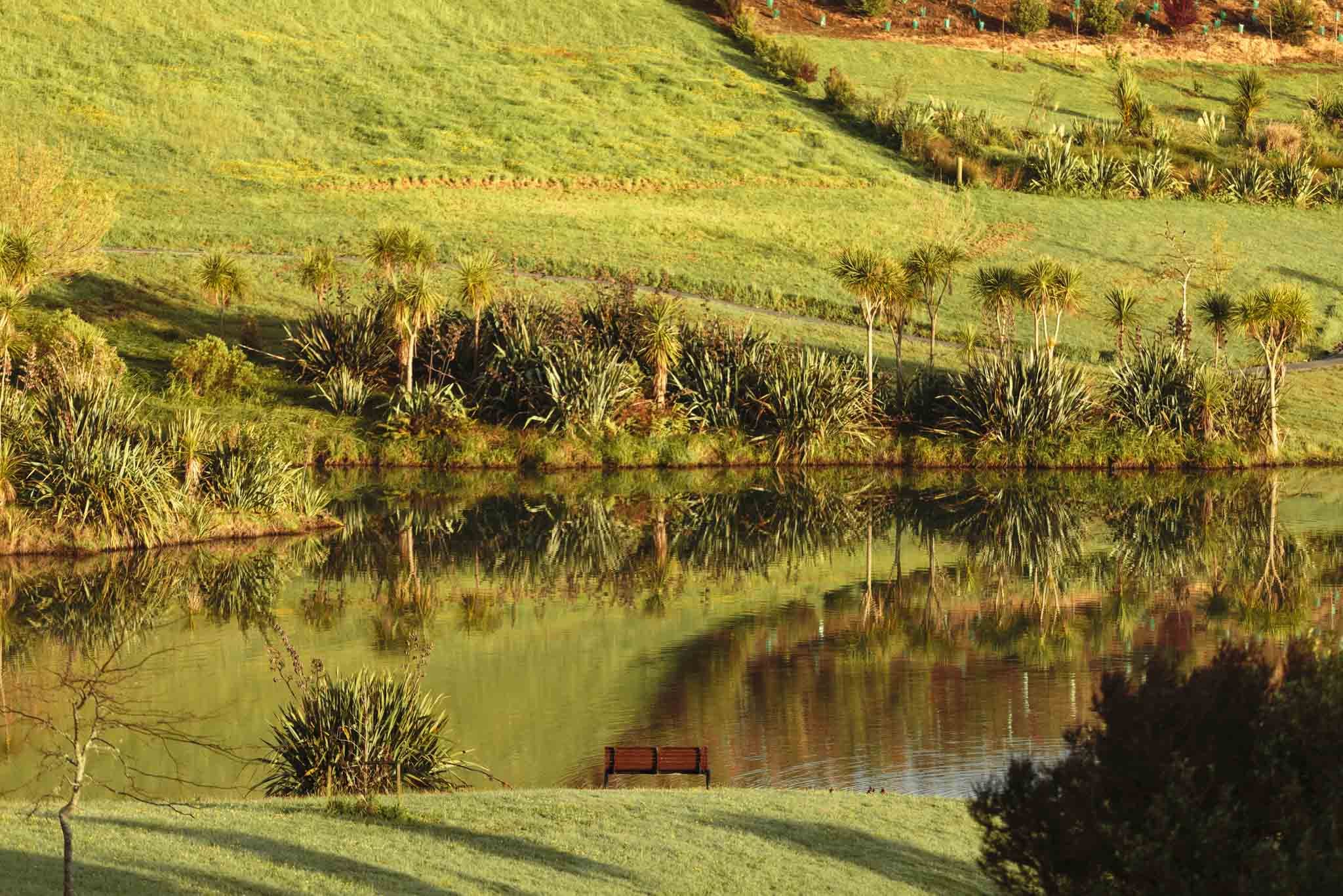 LAKEVIEW OCT2021-WEB-5874.JPG