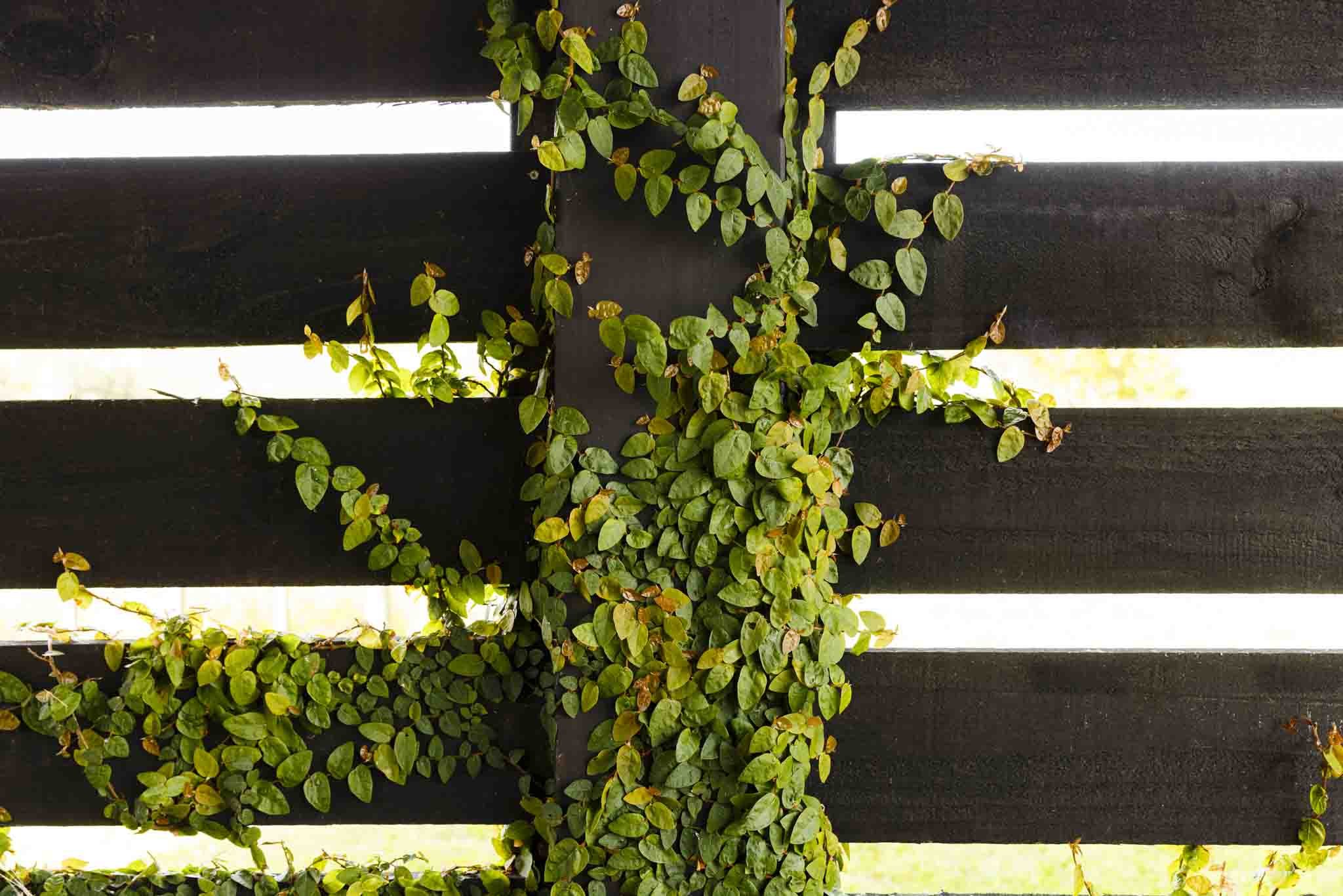 LAKEVIEW OCT2021-WEB-5967.JPG