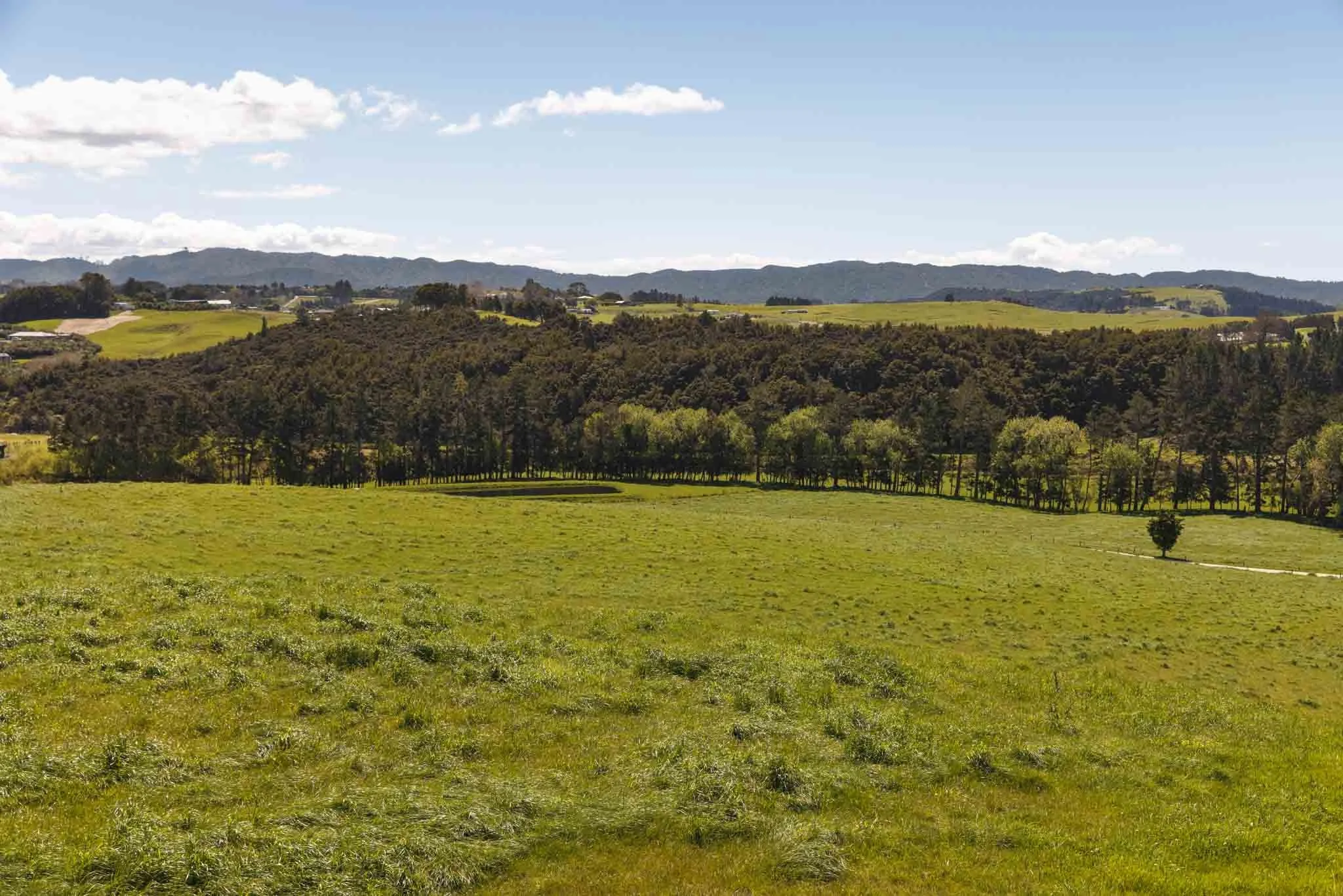 LAKEVIEW OCT2021-WEB-5525.JPG