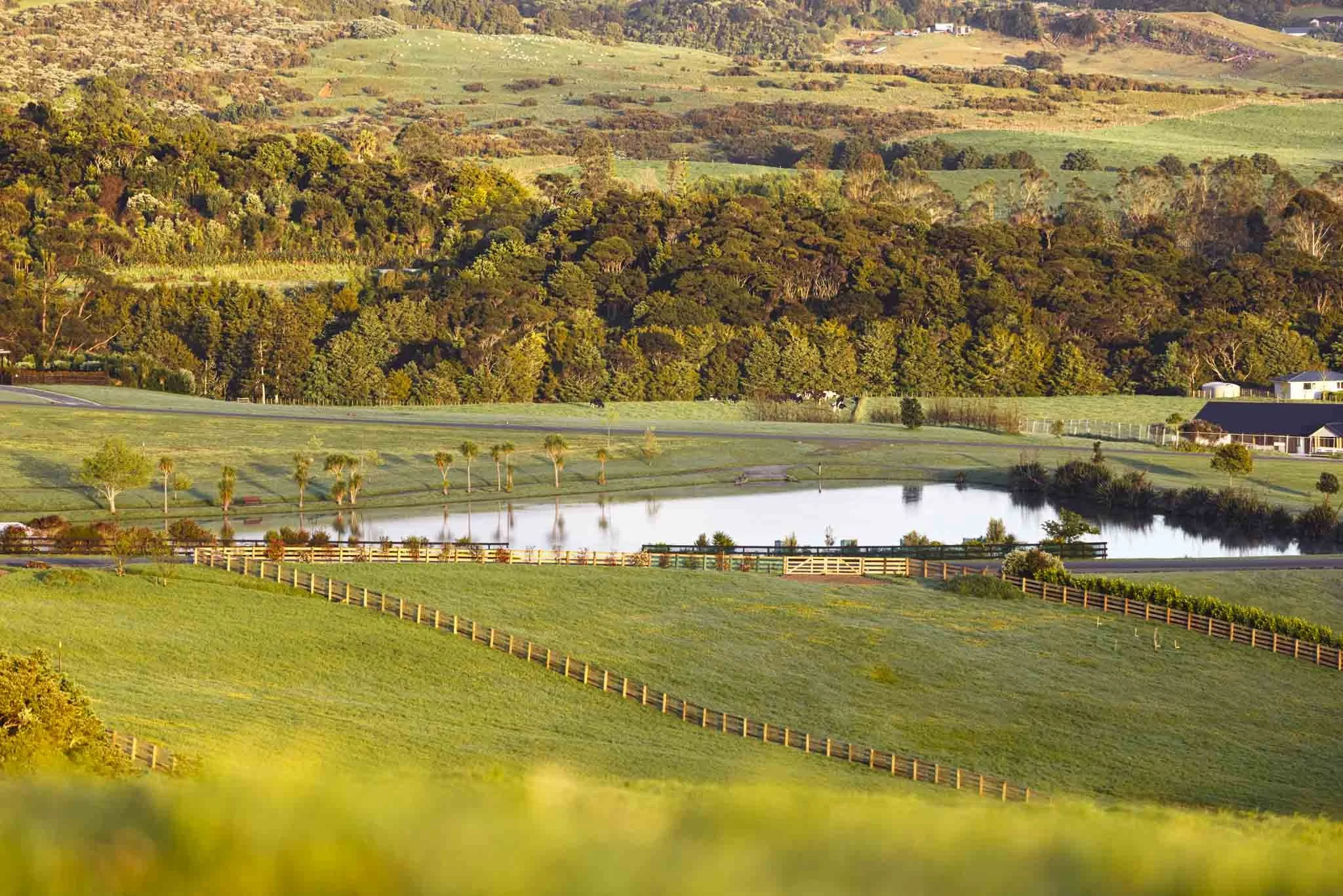 LAKEVIEW OCT2021-WEB-5842.JPG