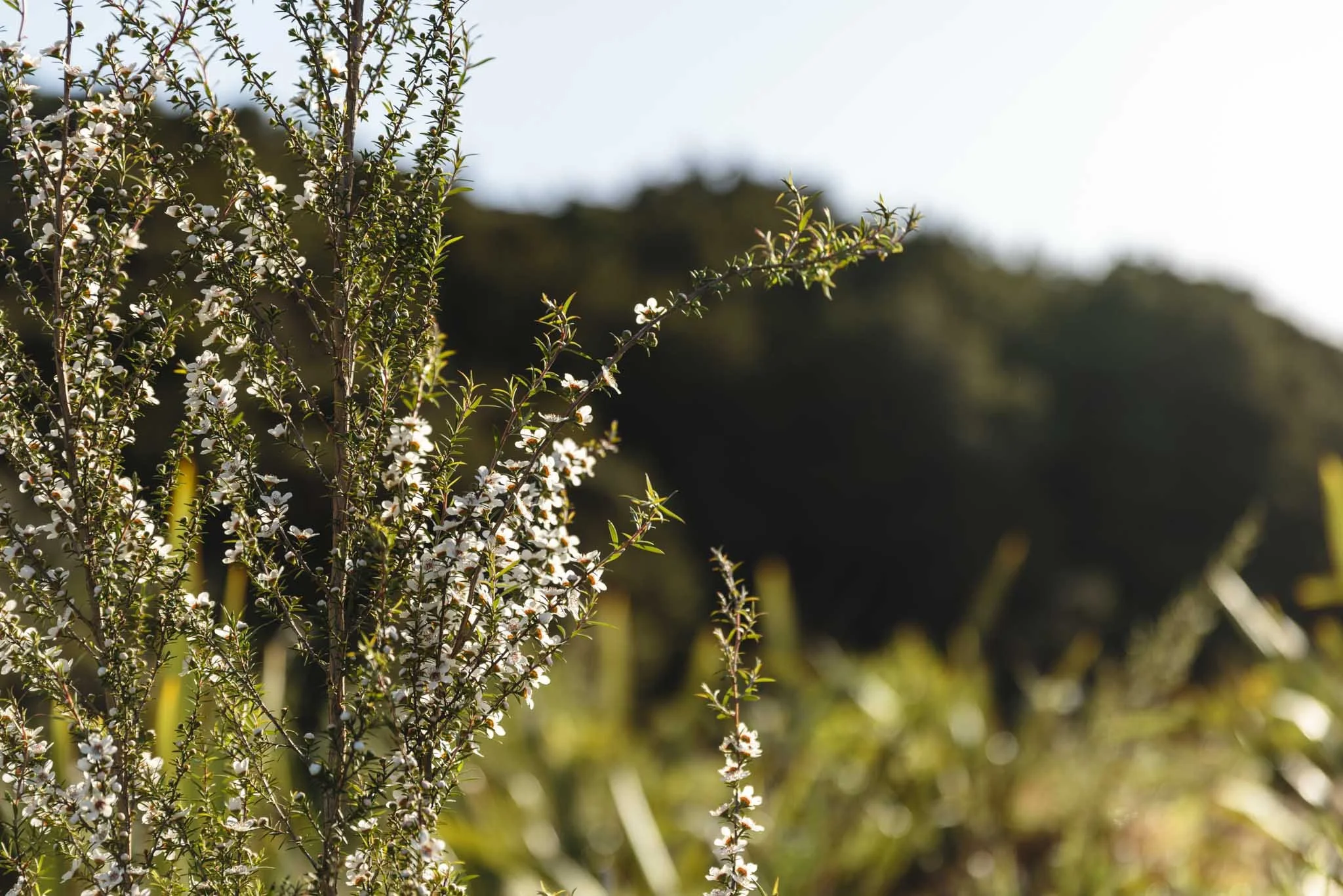 LAKEVIEW OCT2021-WEB-5392.JPG