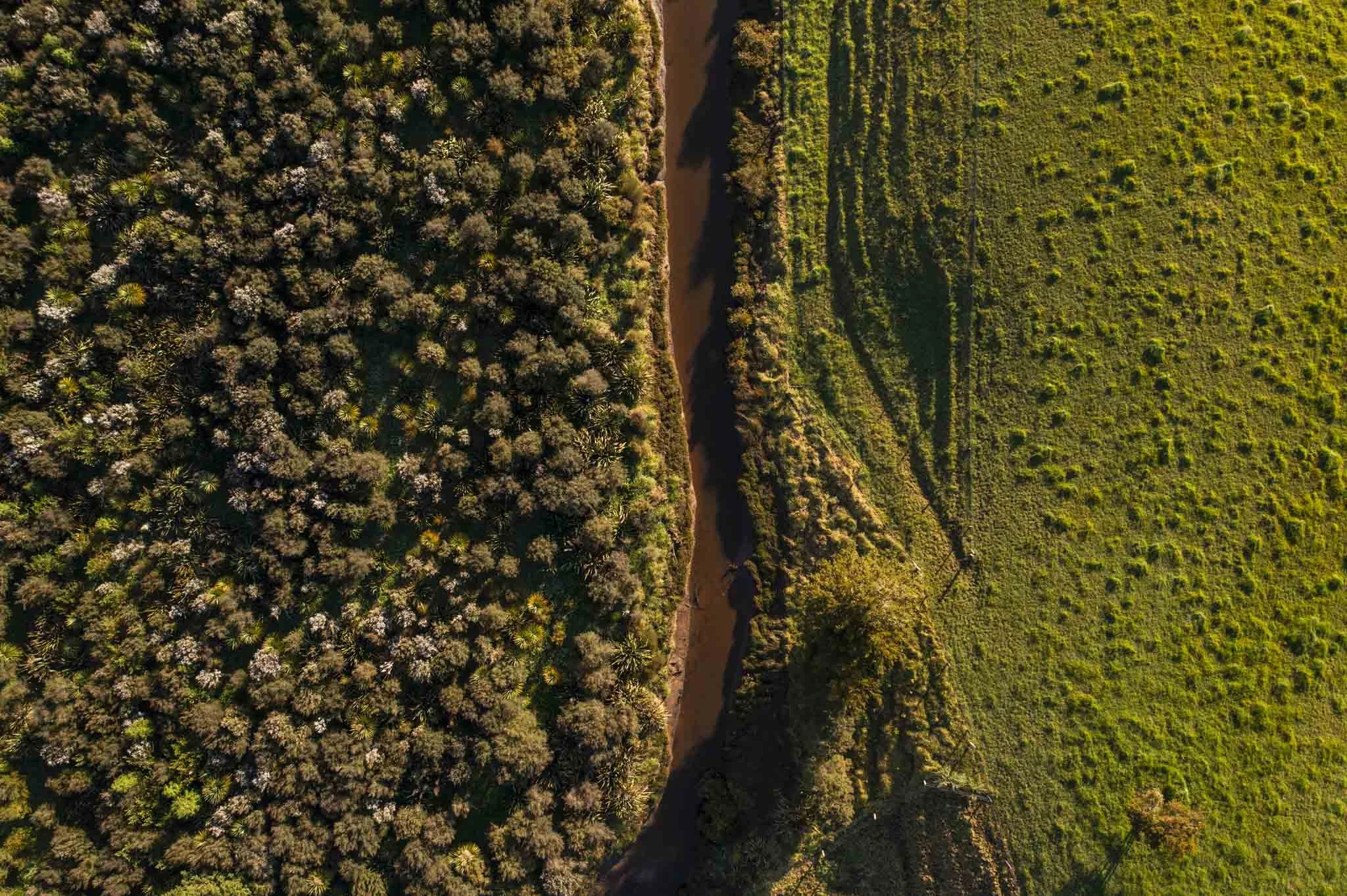 LAKEVIEW OCT2021-WEB-0363.JPG