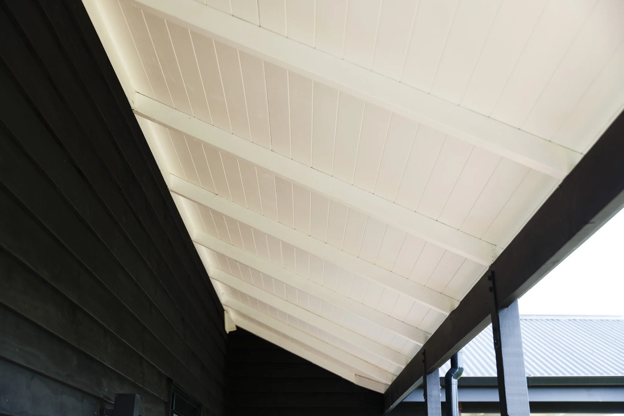 LAKEVIEW OCT2021-WEB-6029.JPG