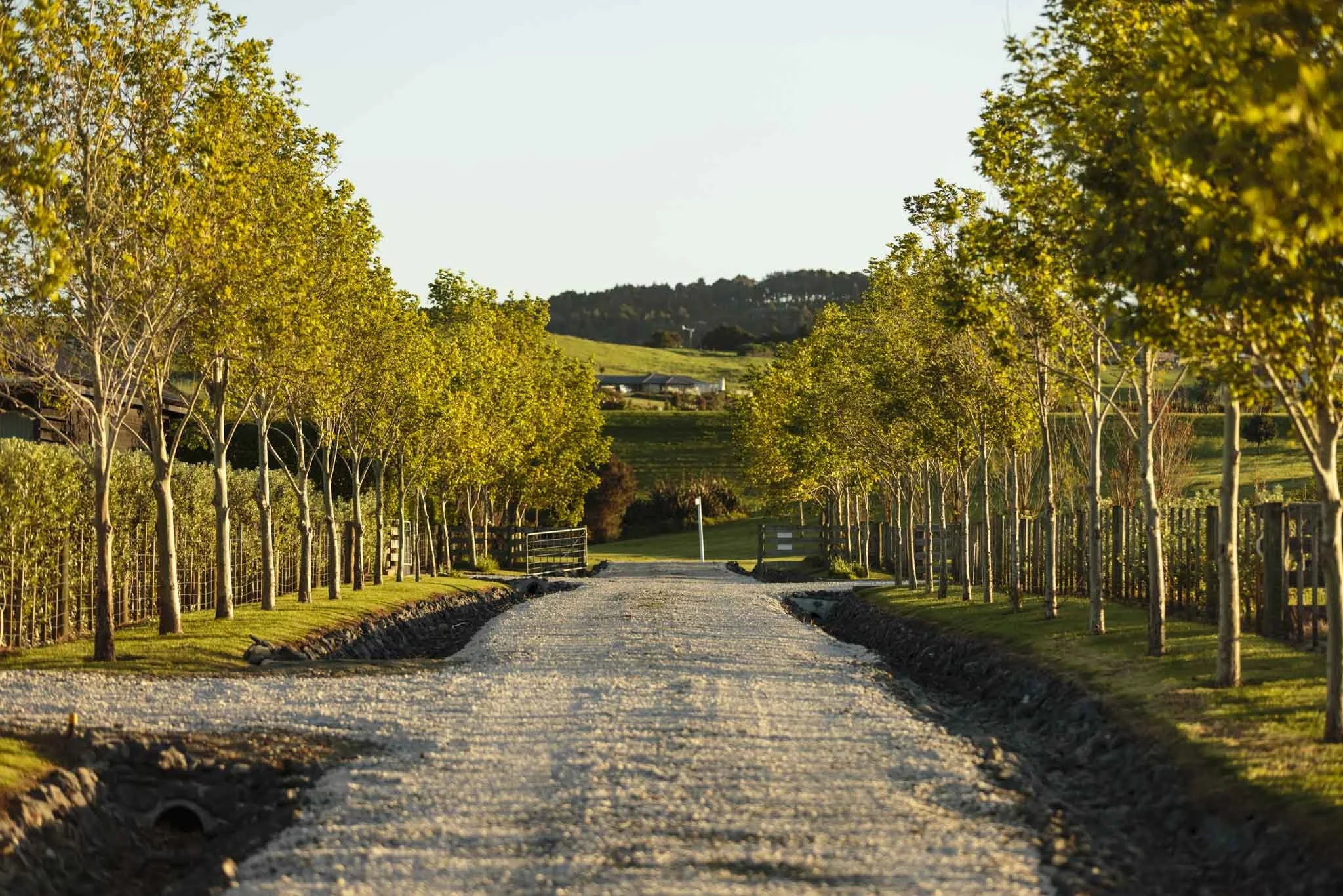 LAKEVIEW OCT2021-WEB-5758.JPG