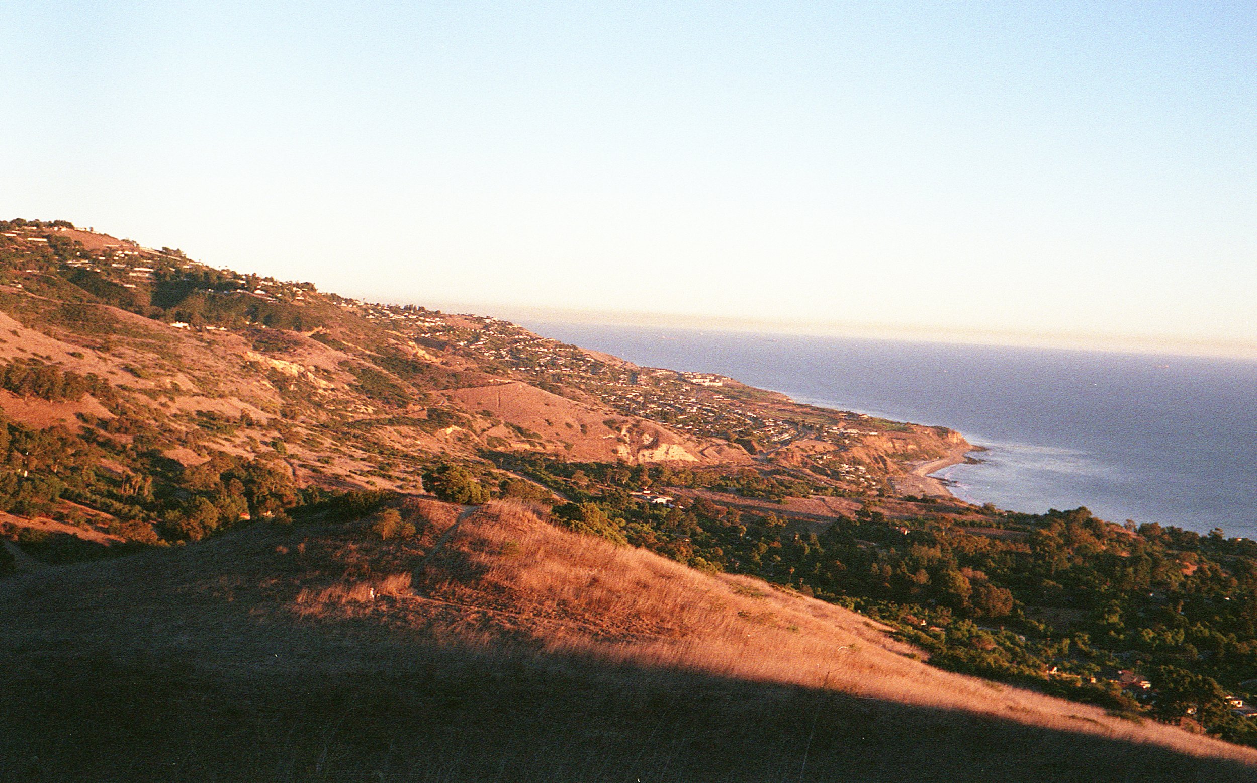 img20201203_10161938.jpeg