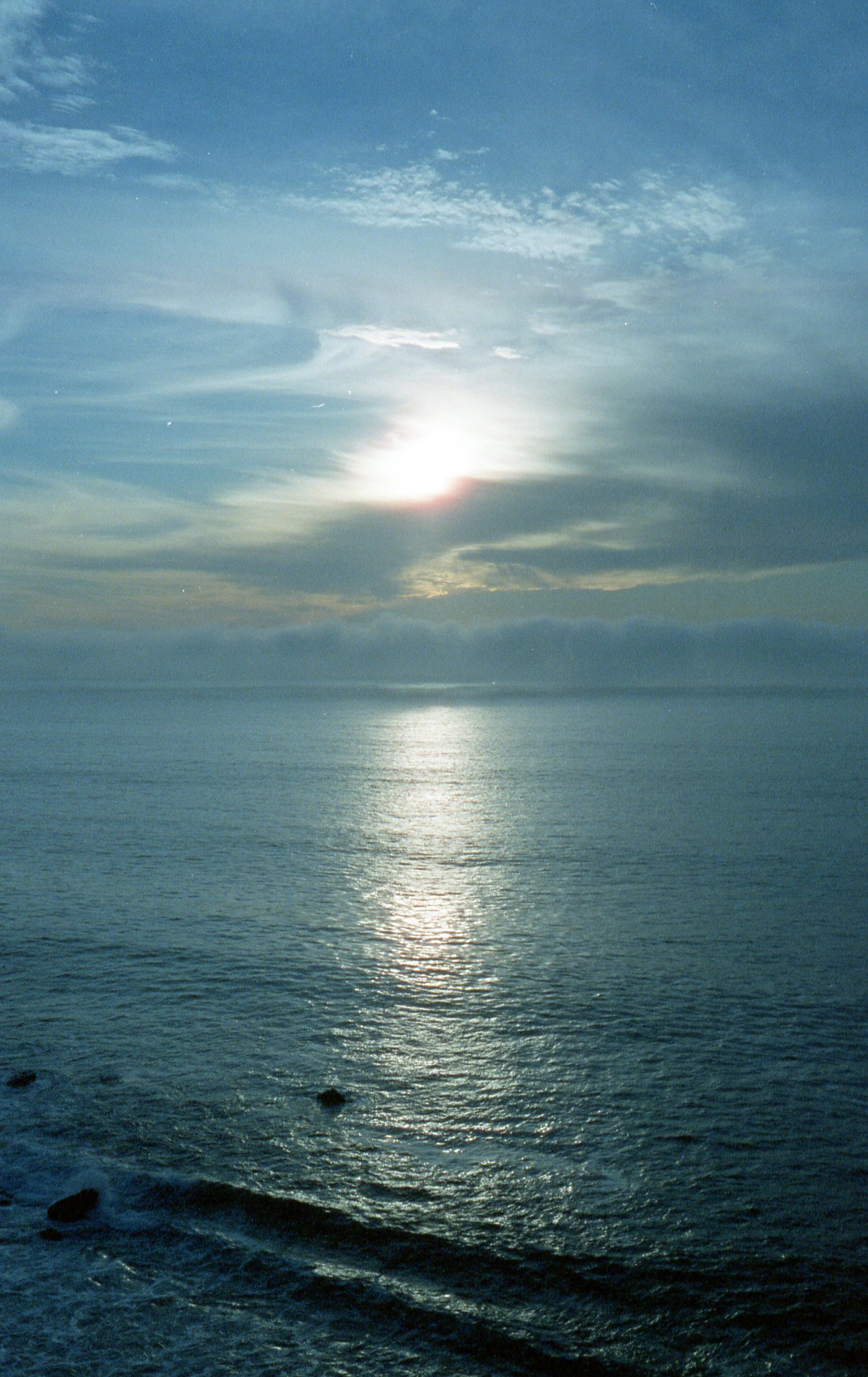 img20210120_12410853.jpeg