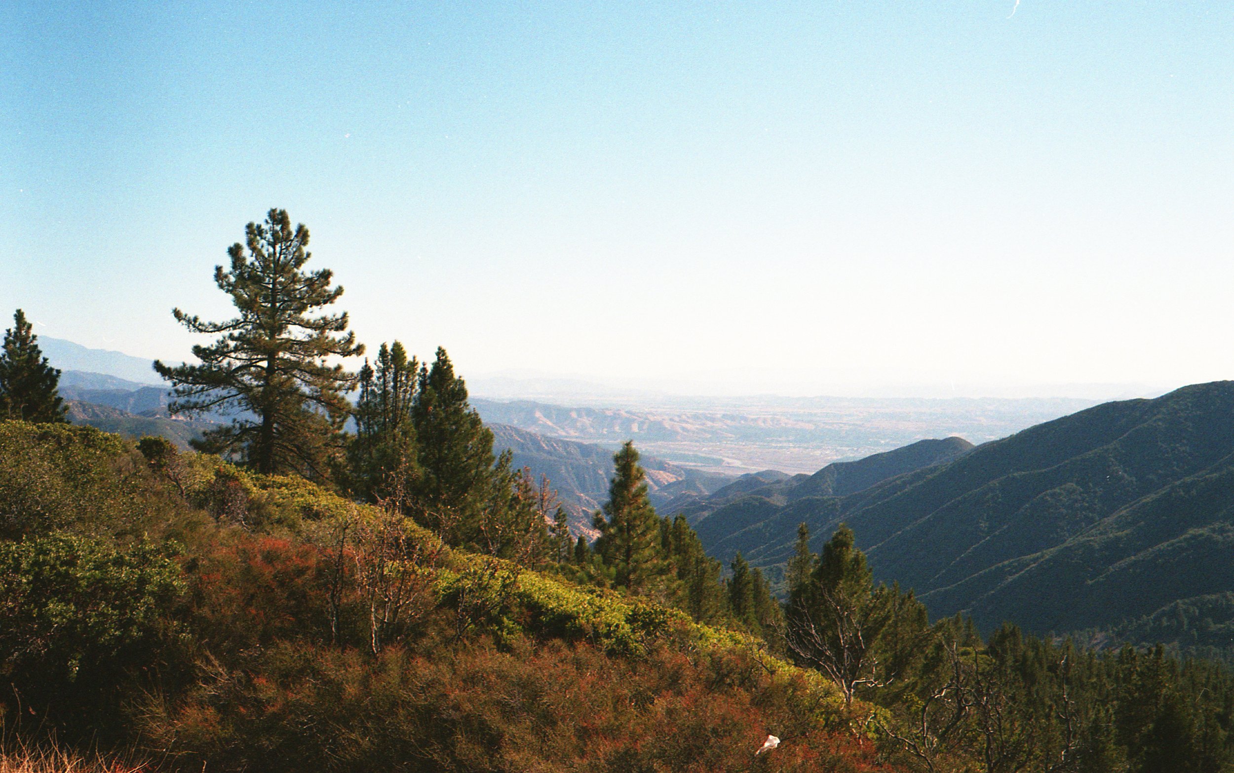 img20201126_11104480.jpeg
