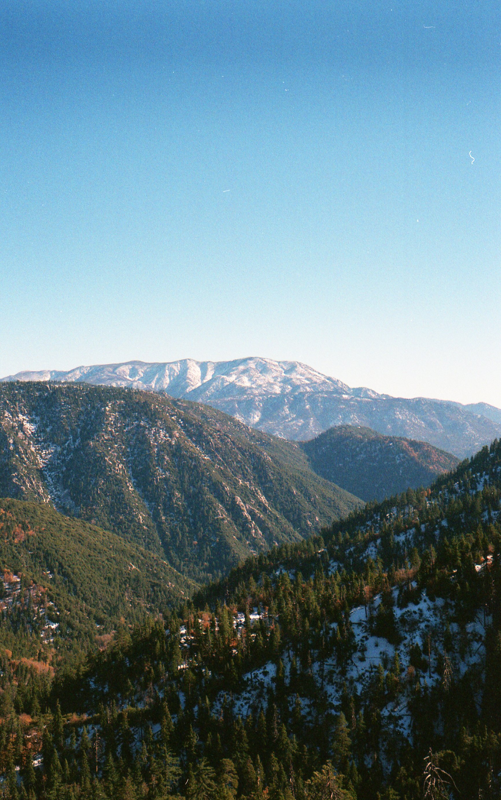 img20201126_11224214.jpeg