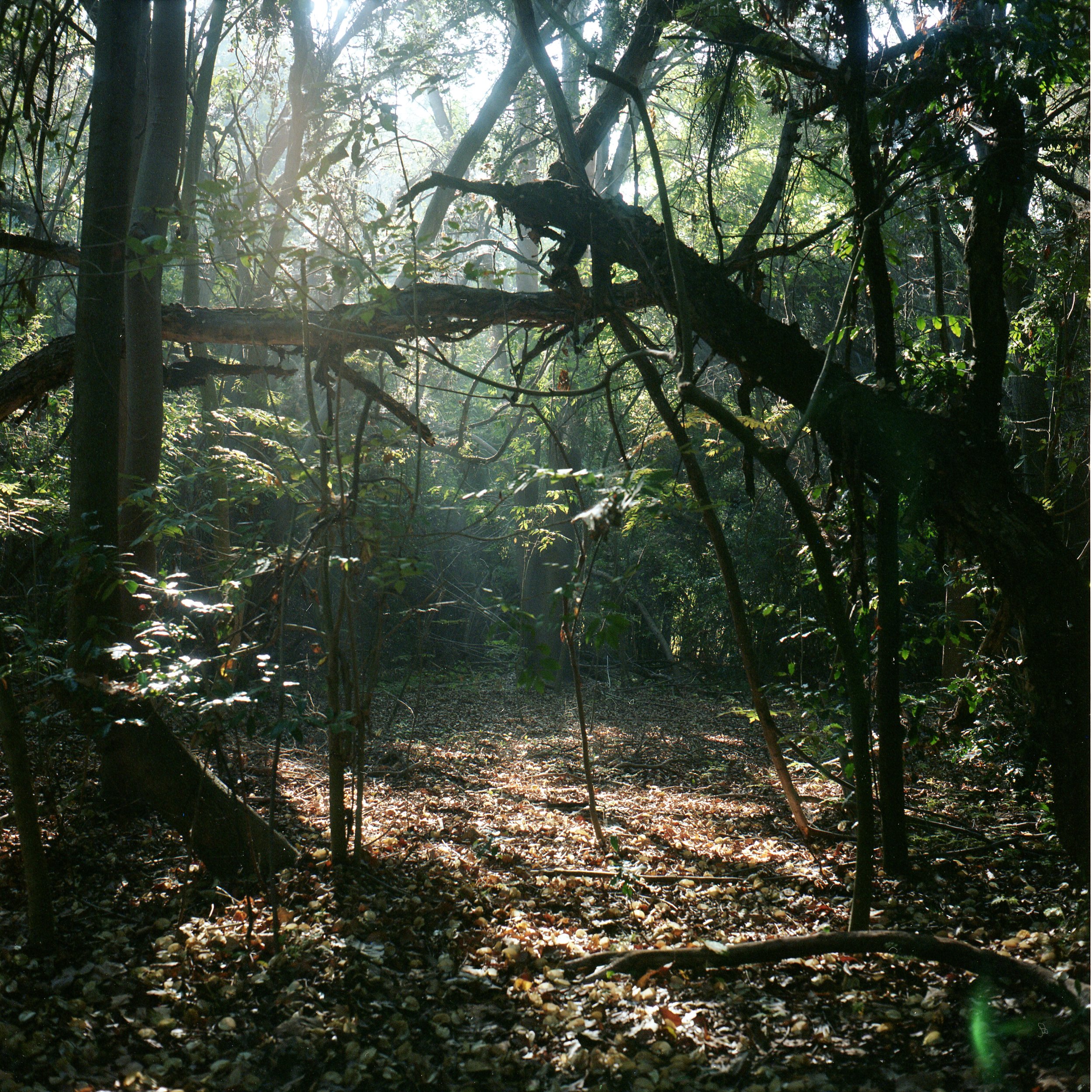 img20201021_13222058.jpeg