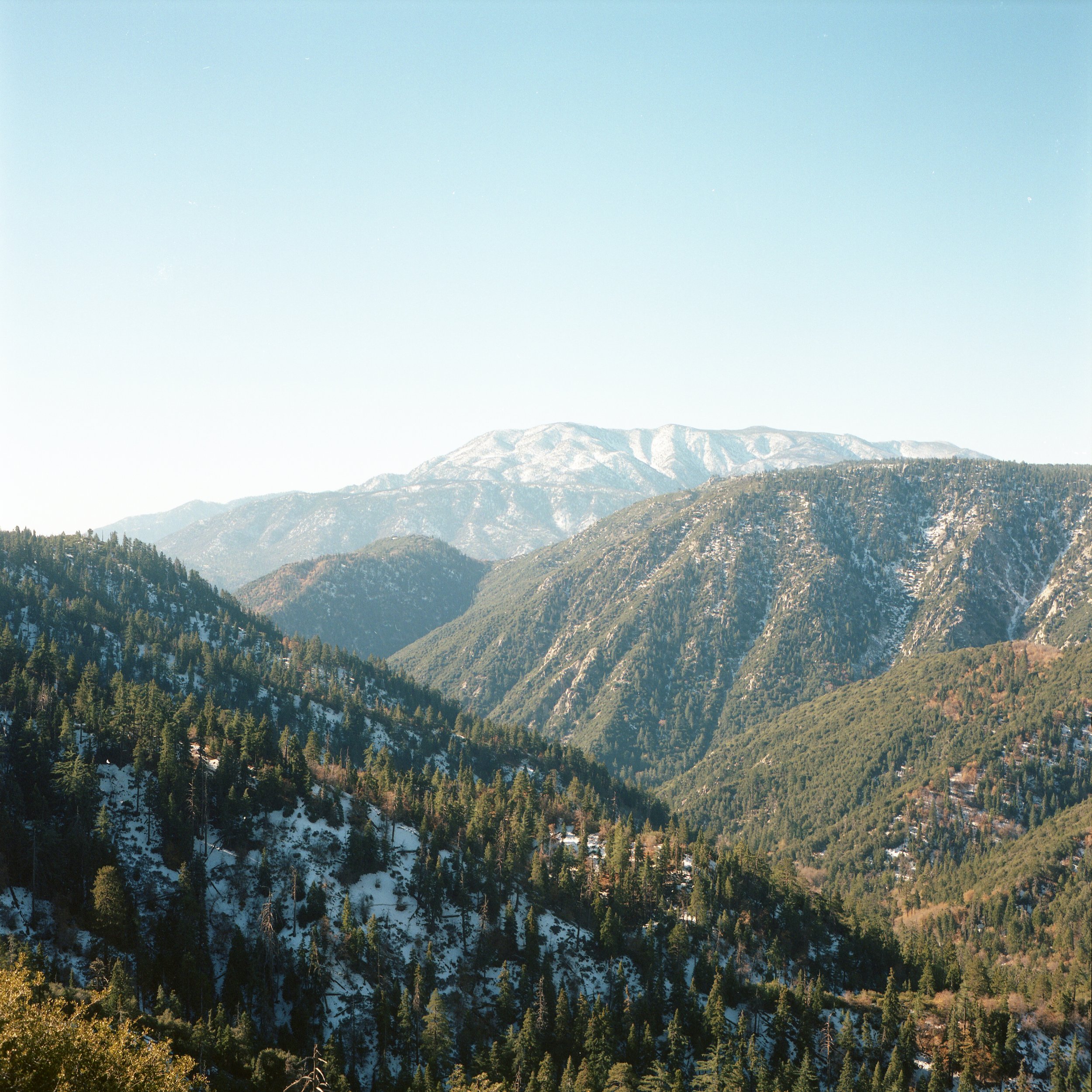 img20201125_19342384.jpeg