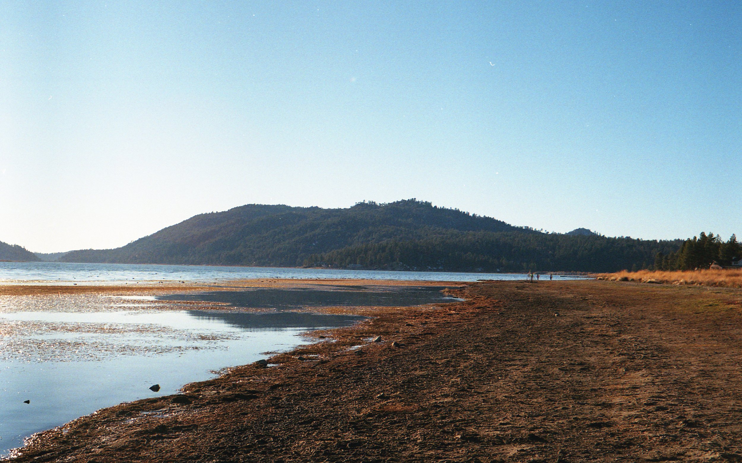 img20201126_12294362.jpeg