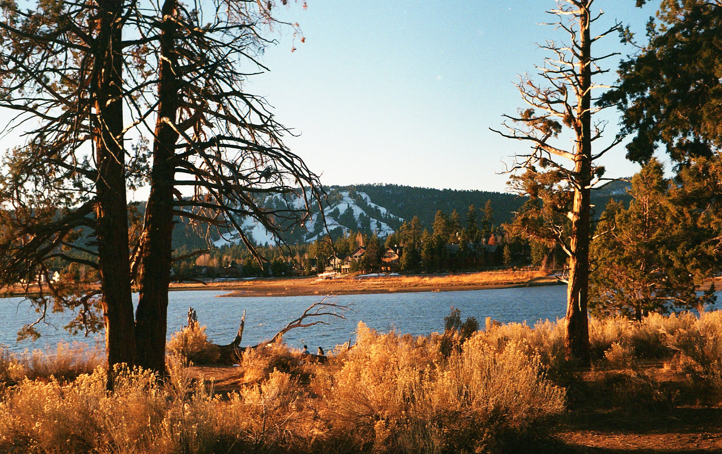 img20201126_00205356.jpeg