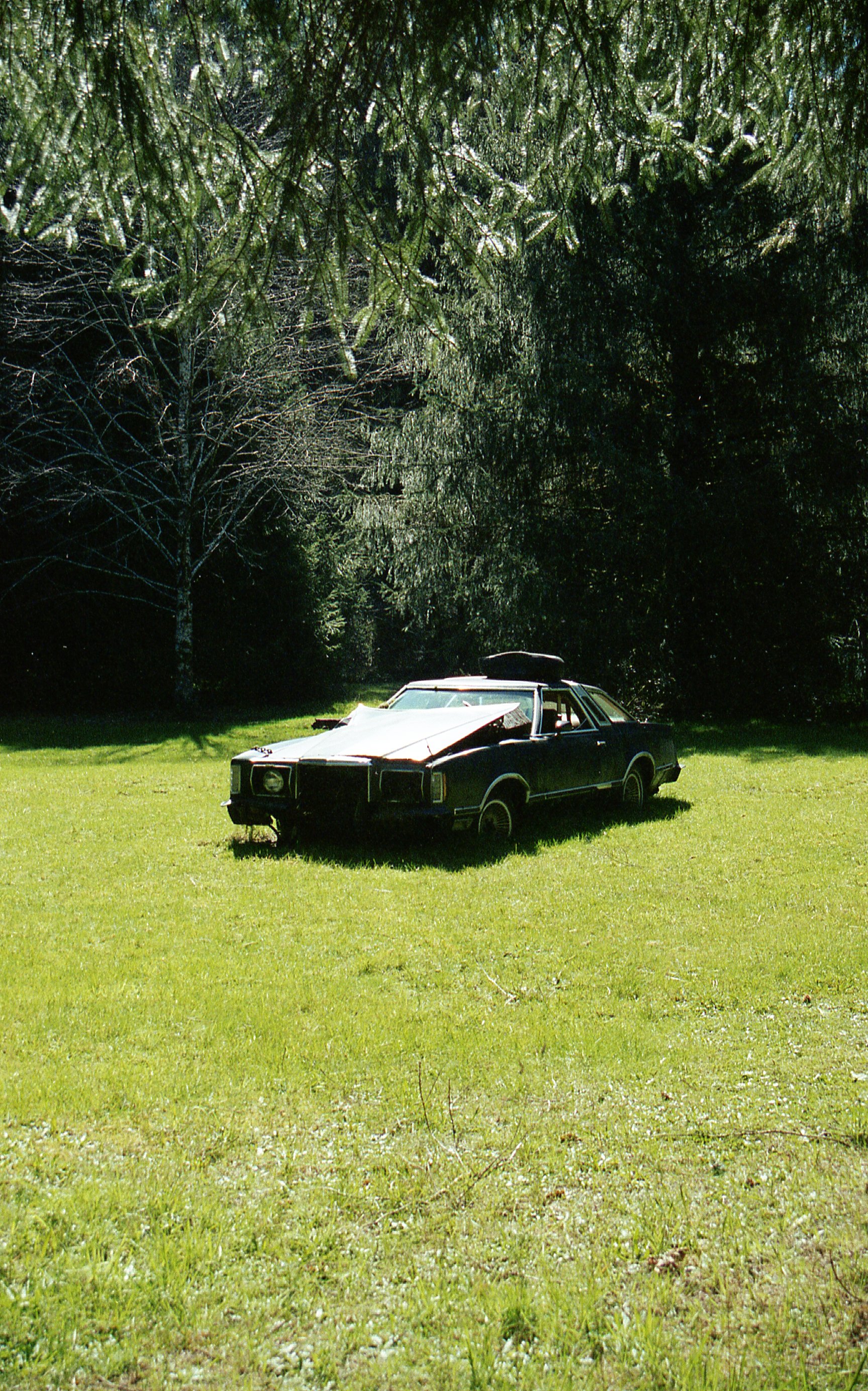 img20201203_11350534.jpeg