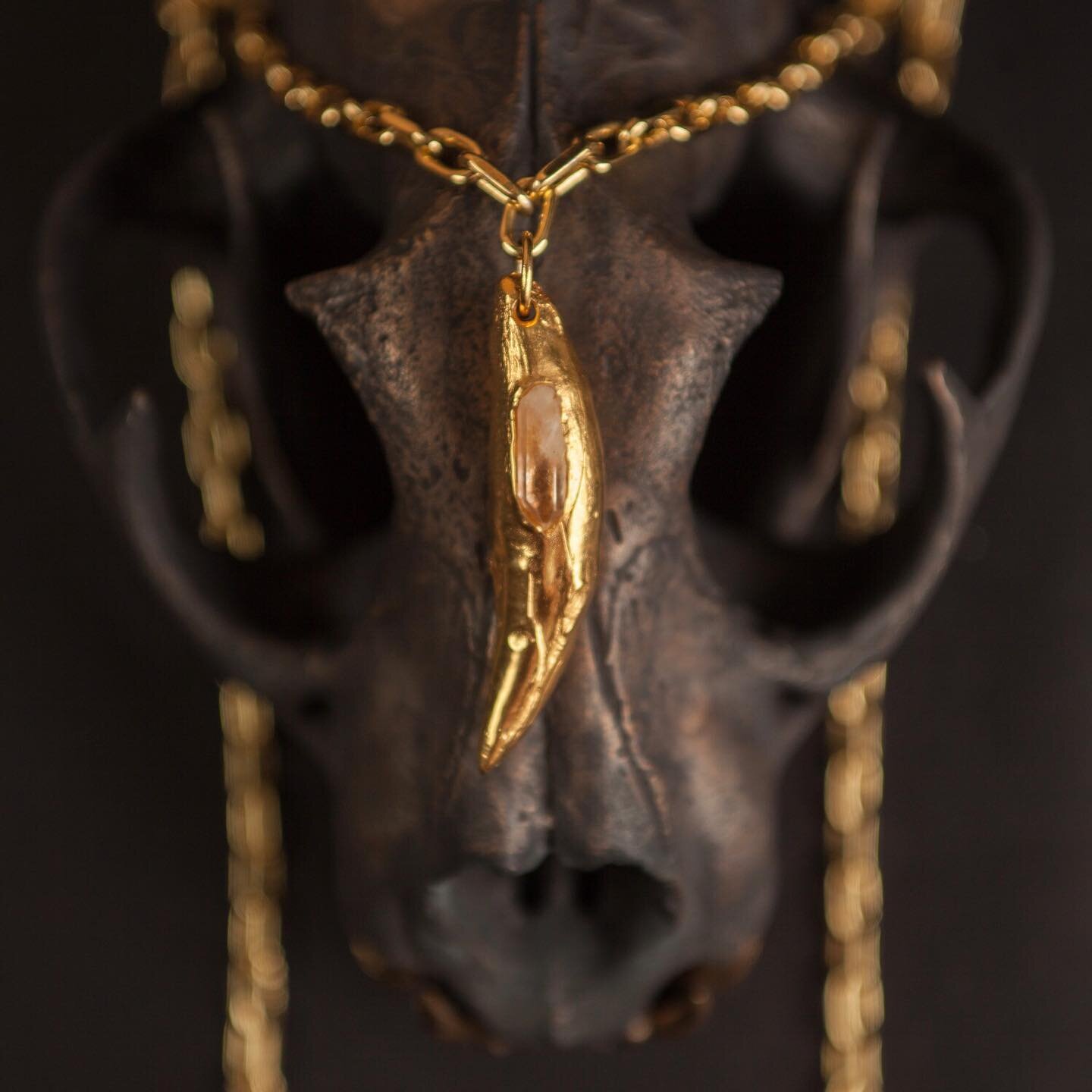 Patina Puma concolor with gold canine tooth.

#jewelry #gold #skull #skulls #necklace #cougar #bronze #bronzeart