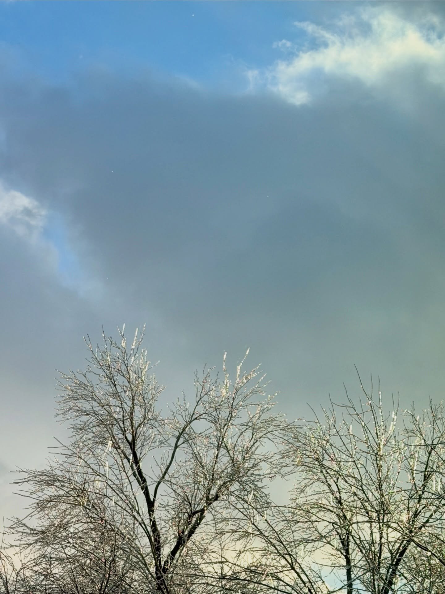 The ice may be treacherous, but it sure is beautiful when it glistens. ✨