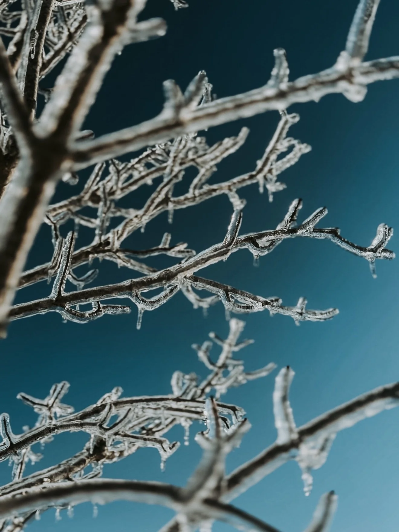 Life lately. Thankful for growth, passion, and inspiration&mdash;from the studio to inside my home. 

Always focused on what&rsquo;s ahead. &ldquo;What is your life? For you are a mist that appears for a little time and then vanishes.&rdquo;