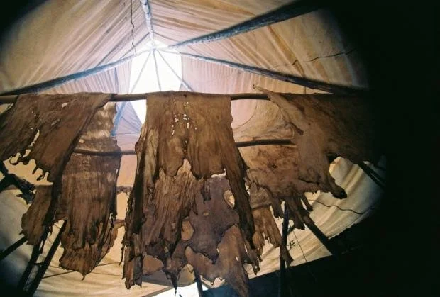 “Conceptualizing the Technical: Dene Nahjo Cultural and Social Innovation Centre” Studio led by James Huemoeller