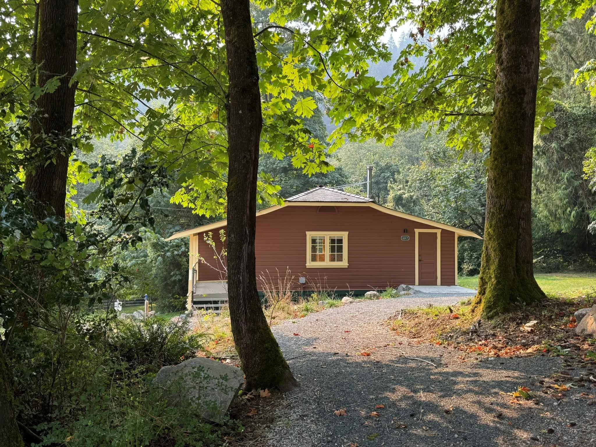 DAVIES ORCHARD - IMG_2728 low-res.jpg