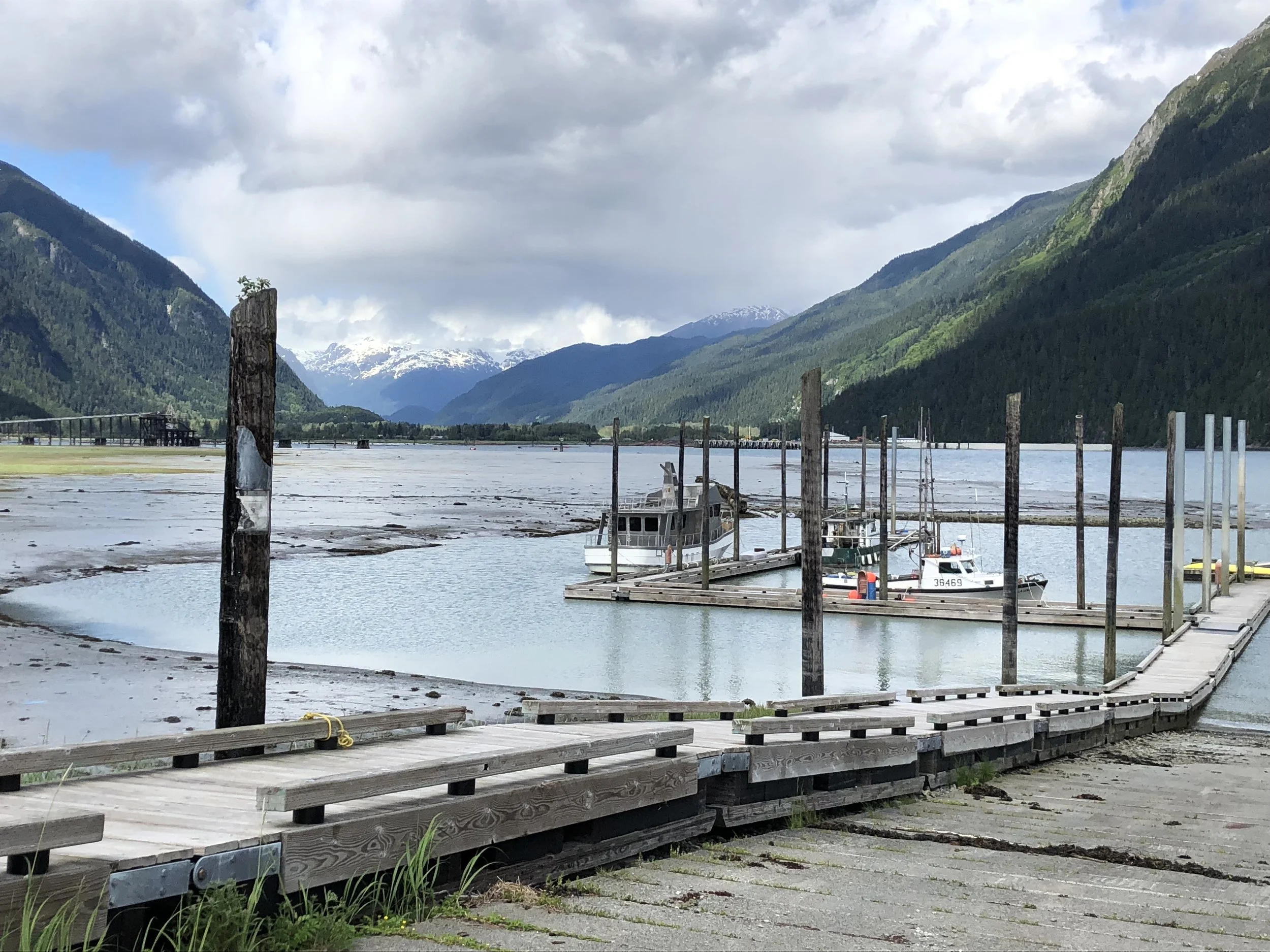 A Field Guide for the District of Stewart