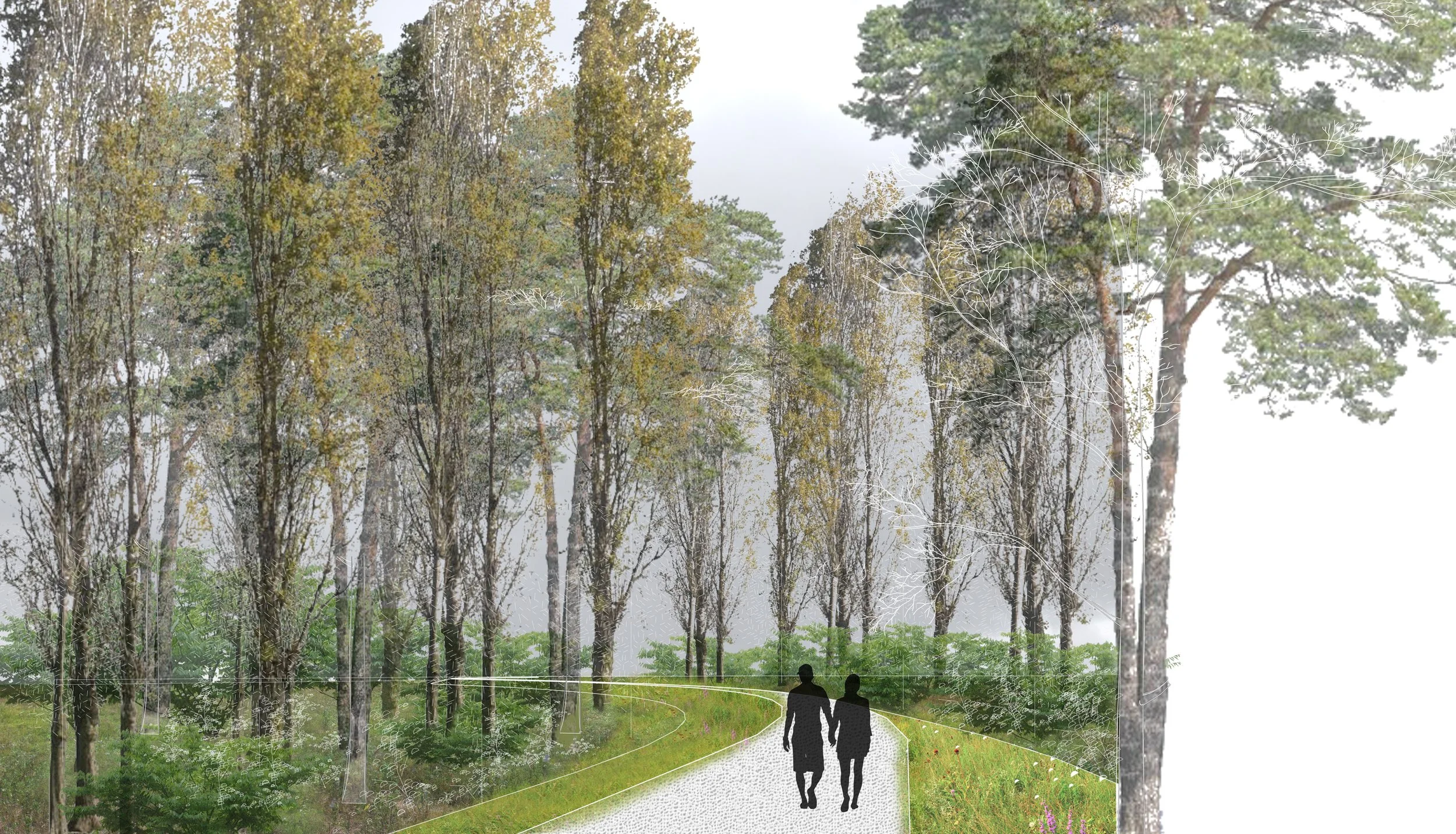 doke perspective.jpg