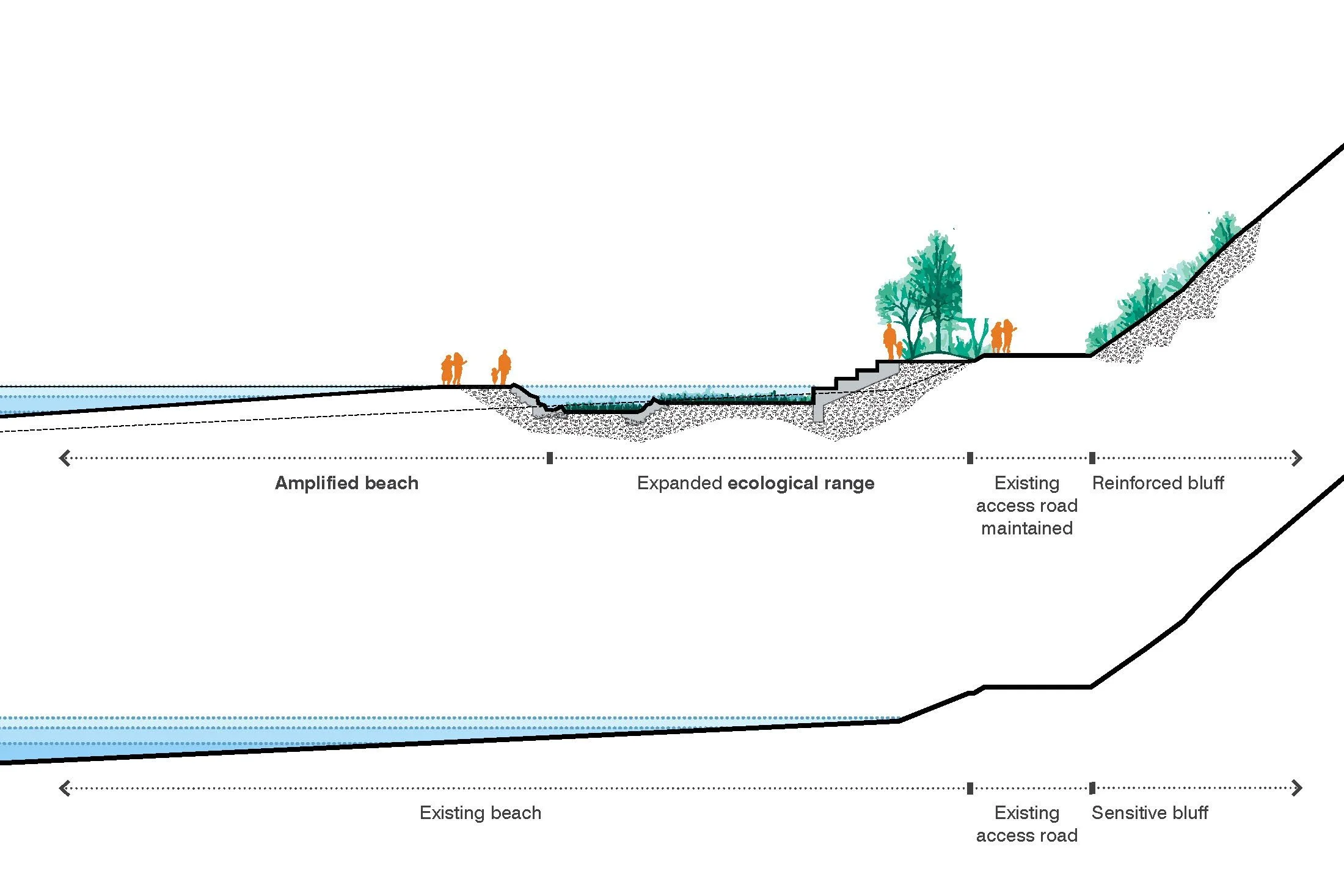 230325 Landscape_Beach sections_Page_3.jpg