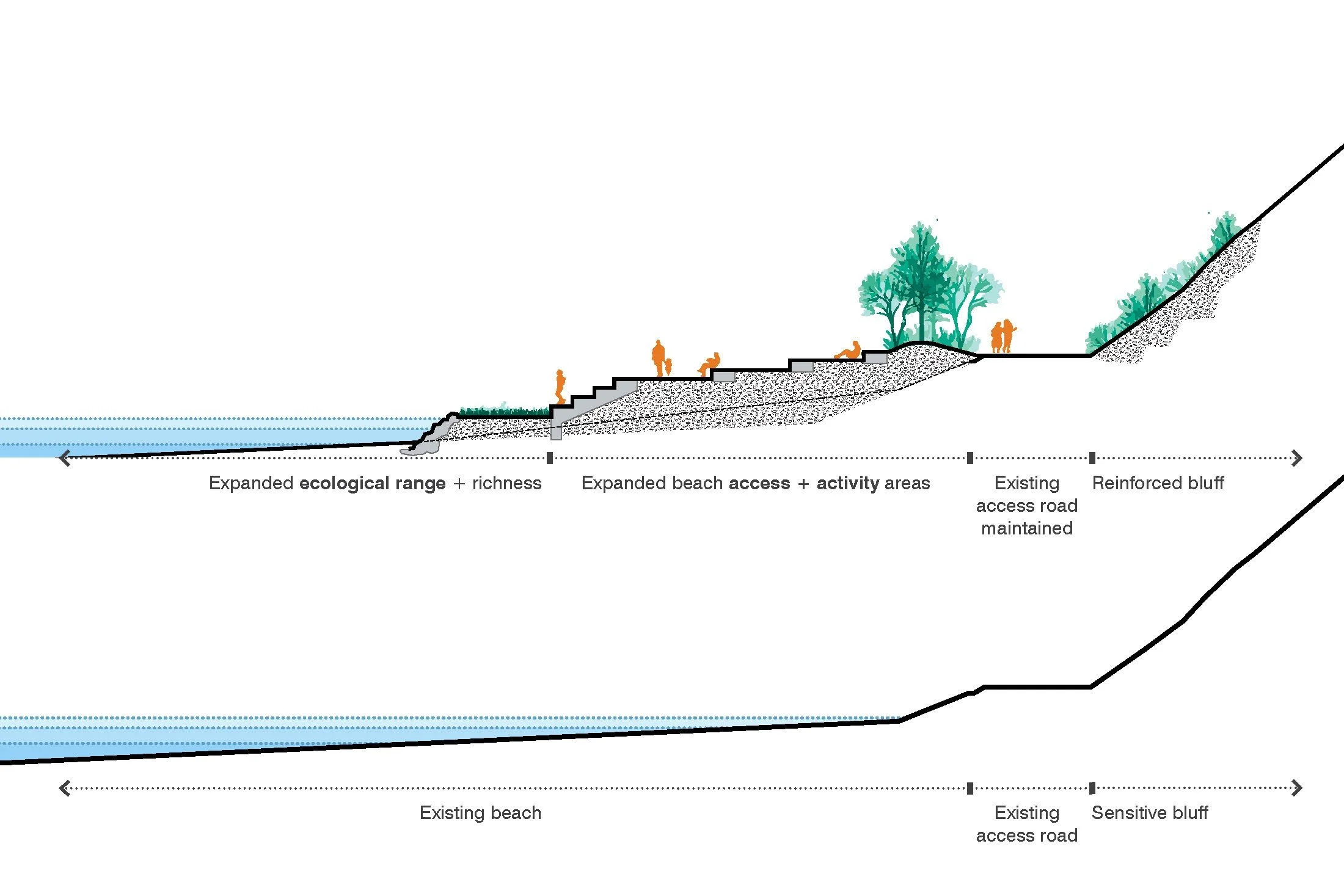 230325 Landscape_Beach sections_Page_2.jpg