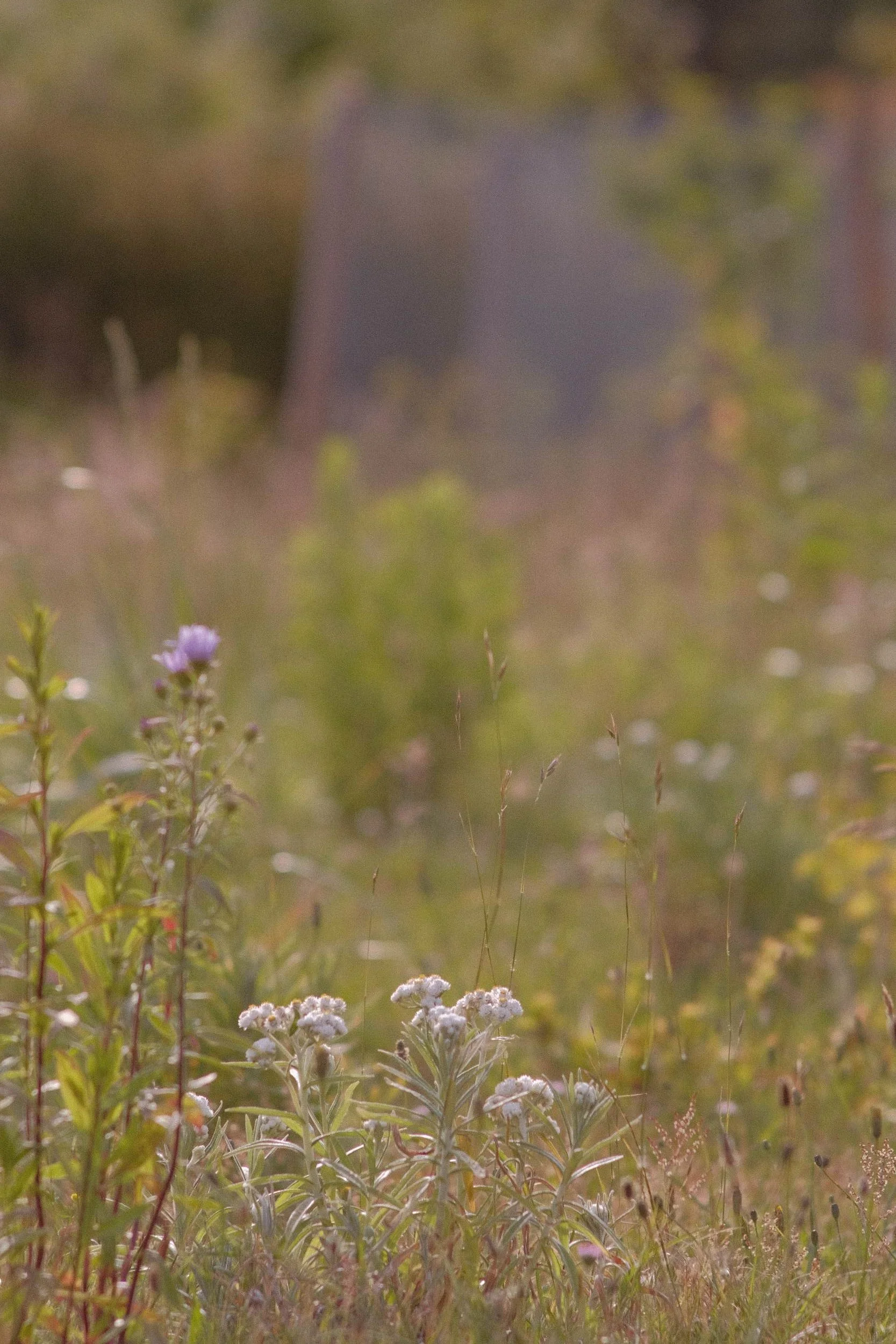 250731_Keats Design Build (8) low-res.jpg