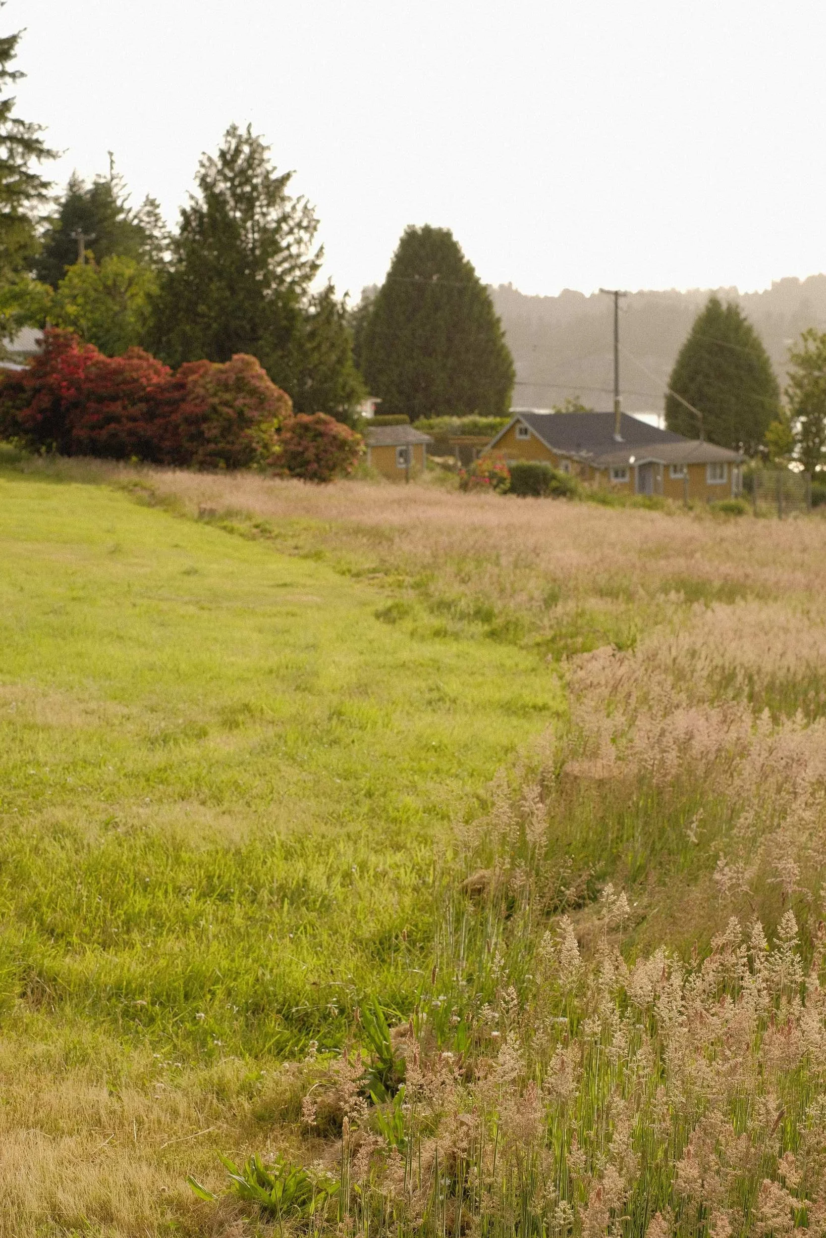 250731_Keats Design Build (17) low-res.JPG