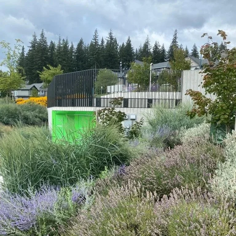 Sheffield Park wins the CSLA Award for Small Scale Public Landscapes