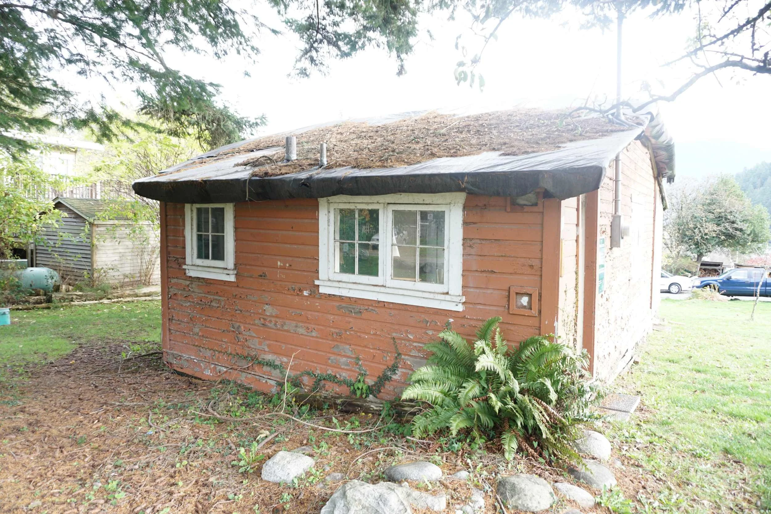 DAVIES ORCHARD - DSC07276 - Copy low-res.JPG