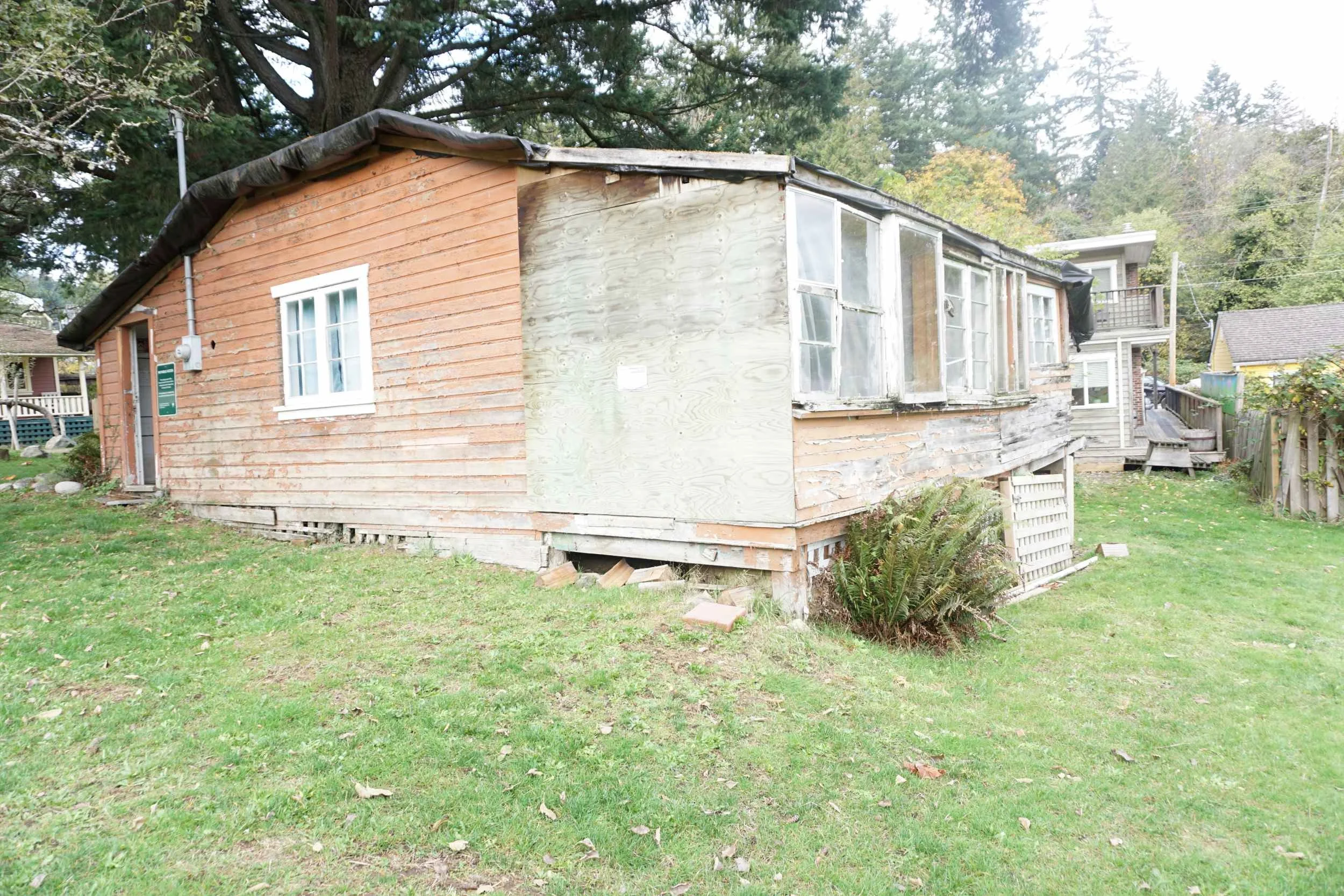 DAVIES ORCHARD - DSC07316 low-res.JPG