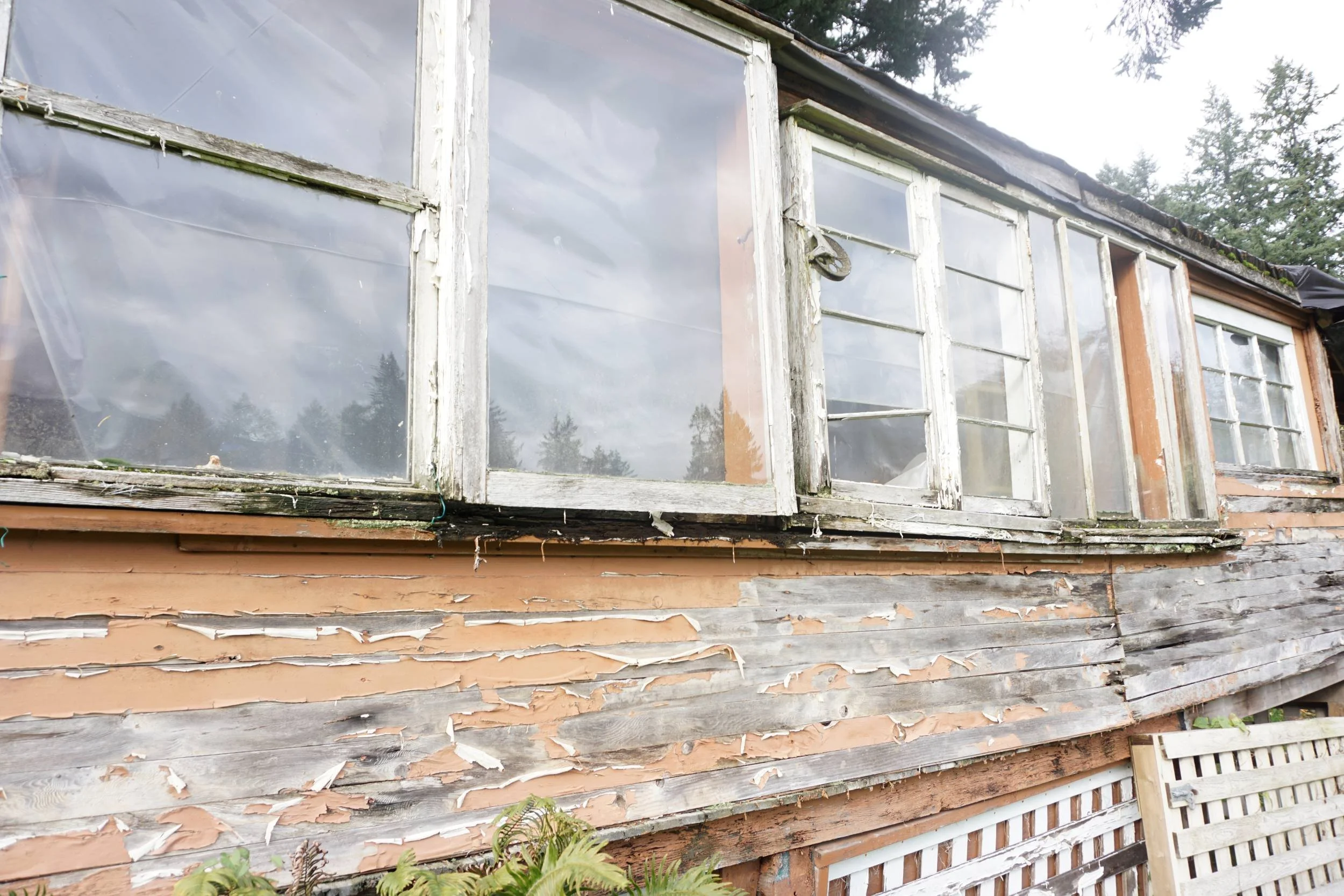 DAVIES ORCHARD - DSC07280 - Copy low-res.JPG