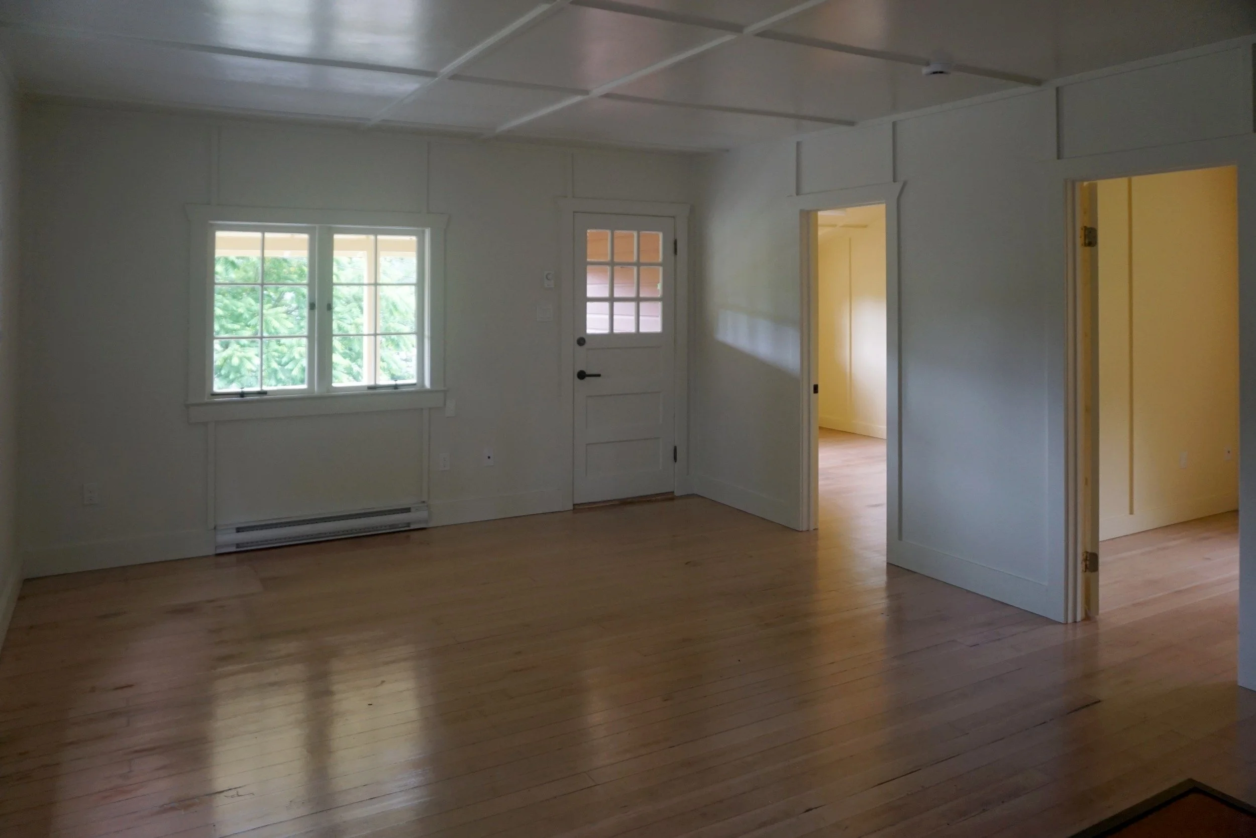 DAVIES ORCHARD - DSC06326 edit low-res.jpg