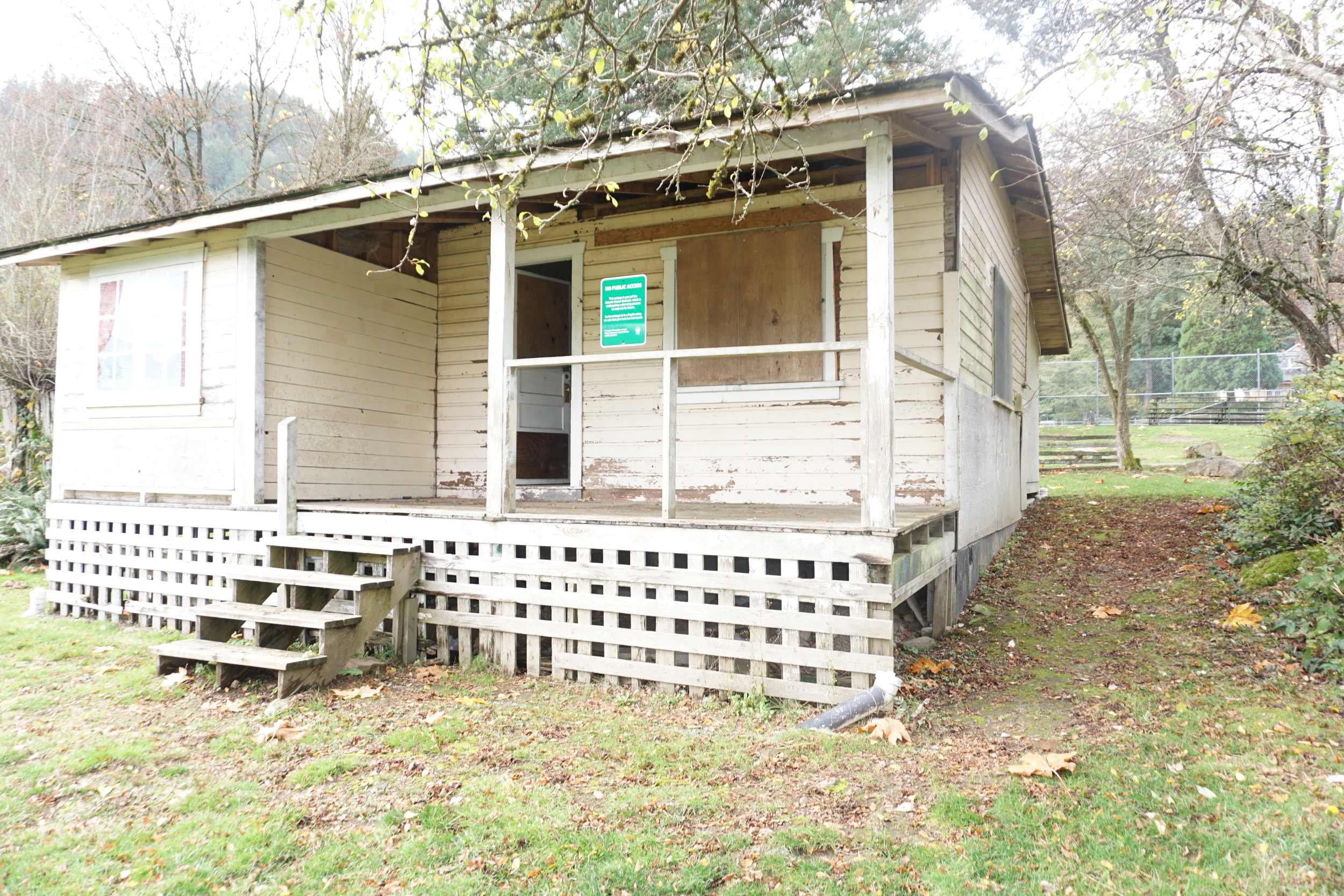 DAVIES ORCHARD - DSC07218 - Copy low-res.JPG