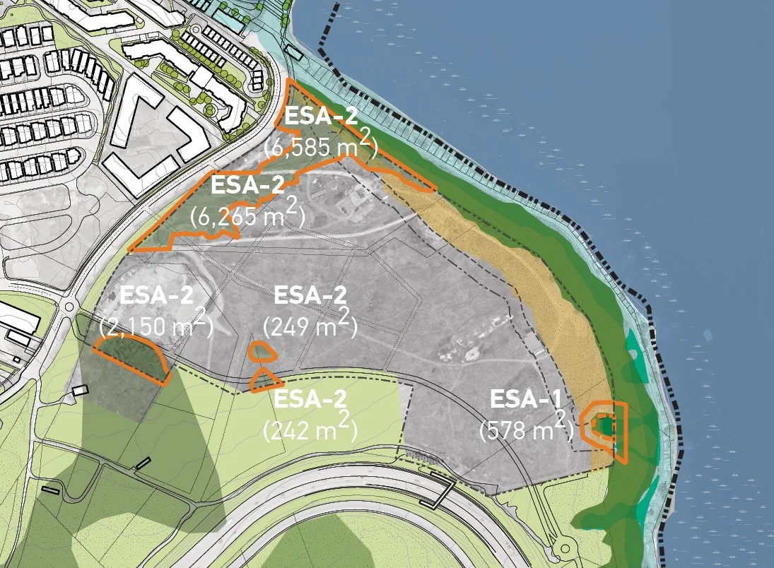 1. Avoid, retain, protect (ESA-1)
Proposed development activities (clearing, grading, etc.) associated with the Bluffs Plan avoid the most sensitive areas of Very High (ESA-1) environmental value. This area is to be preserved and protected during all