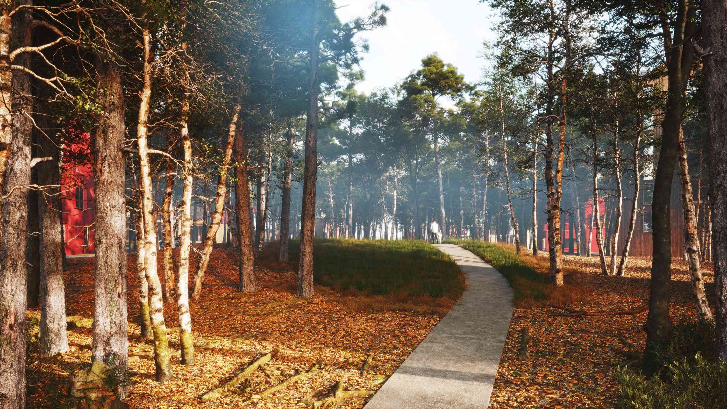 Woodland v1A1 FN-low-res.jpg