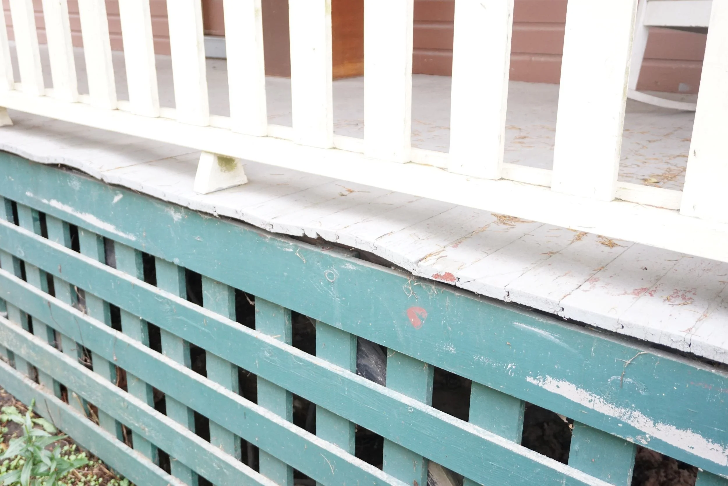 DAVIES ORCHARD - DSC07011 - Copy low-res.JPG