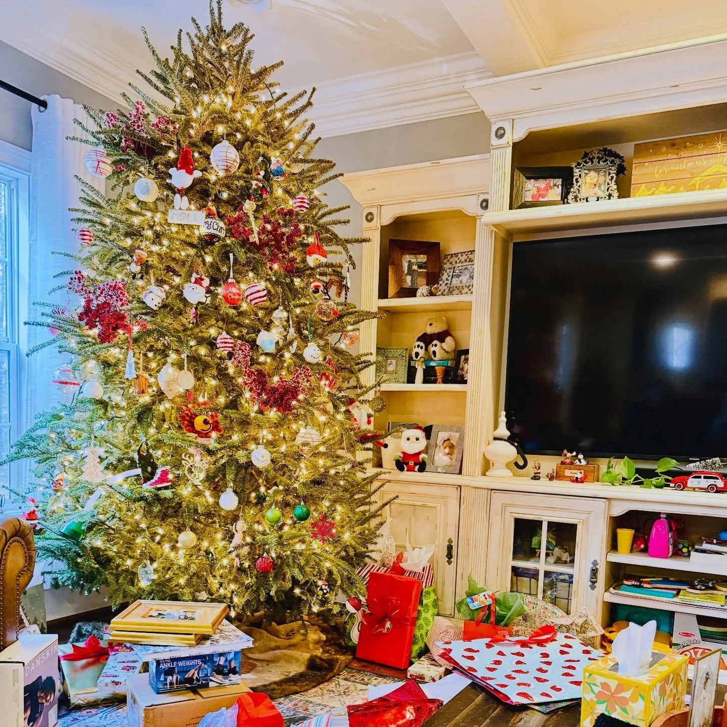 The magic fades&hellip;and the mess stays! We&rsquo;re here for the after!

Post-Holiday organizing bookings now open!! We have 4 available at a special price!

Text or message to book
803-881-4680