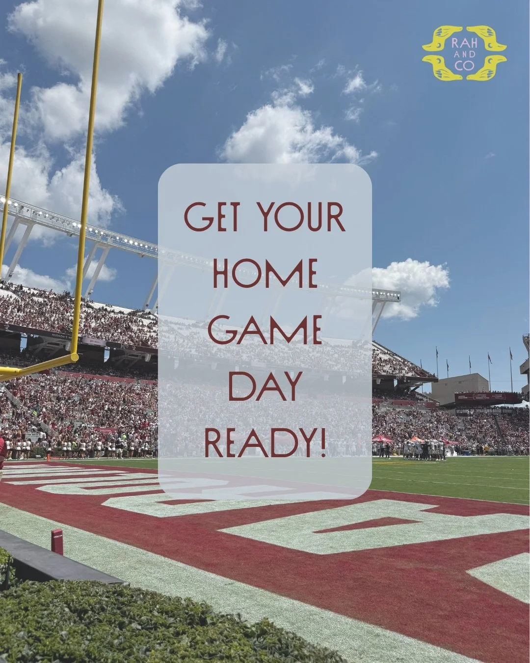 Football season is BACK!!! 🏈🐔 Time to get your house ready for the season! 

#professionalorganizer #footballseason #hosting #southcarolina #columbiasc