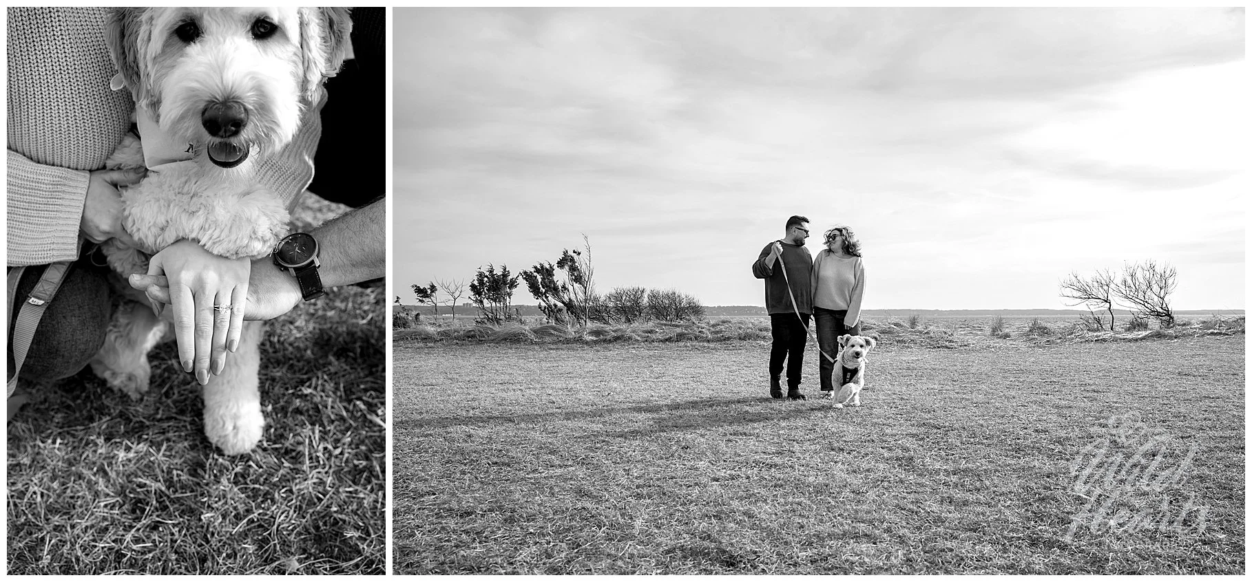 sandy_hook_nj_engagement_801.jpg