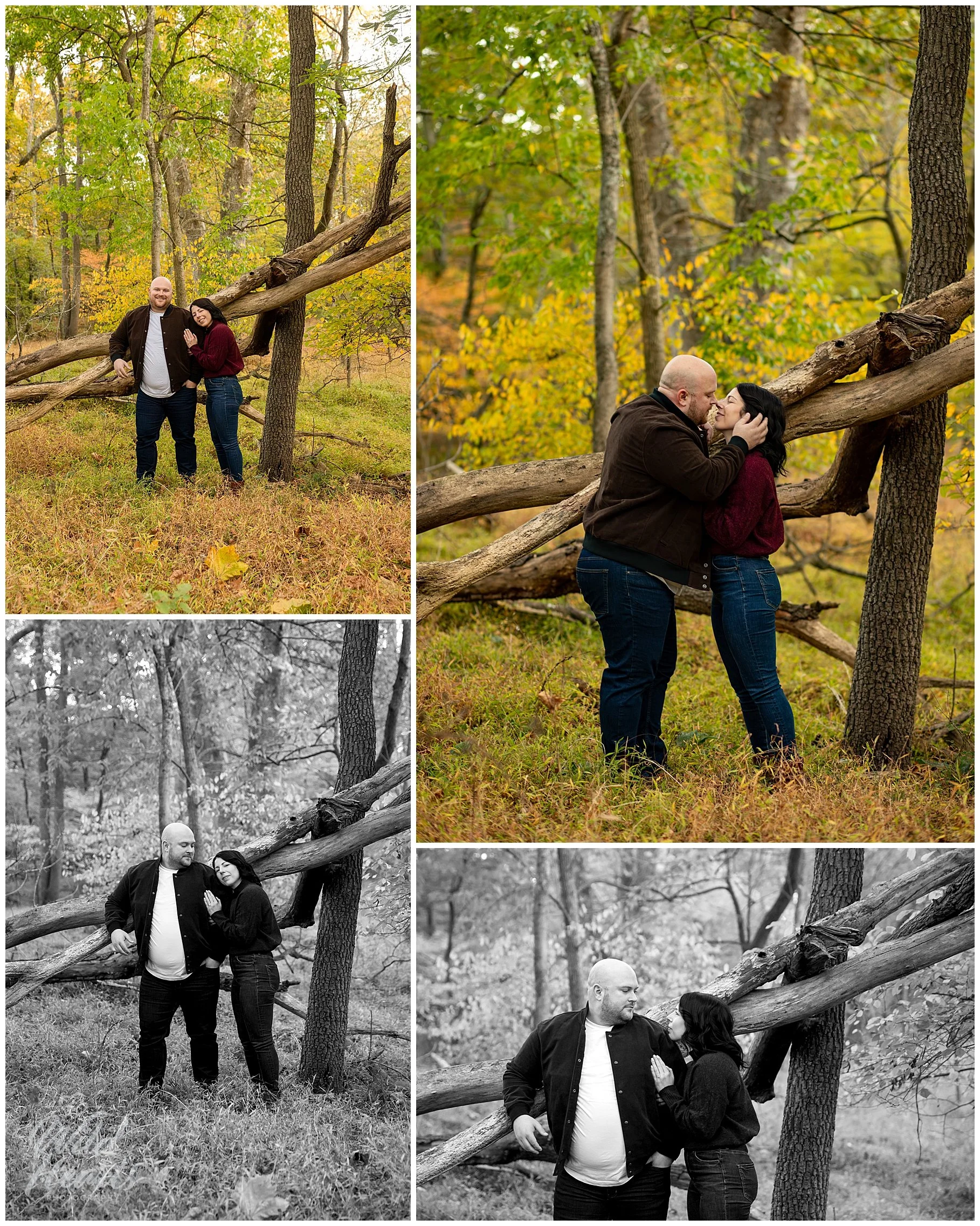 allaire_state_park_engagement409.jpg