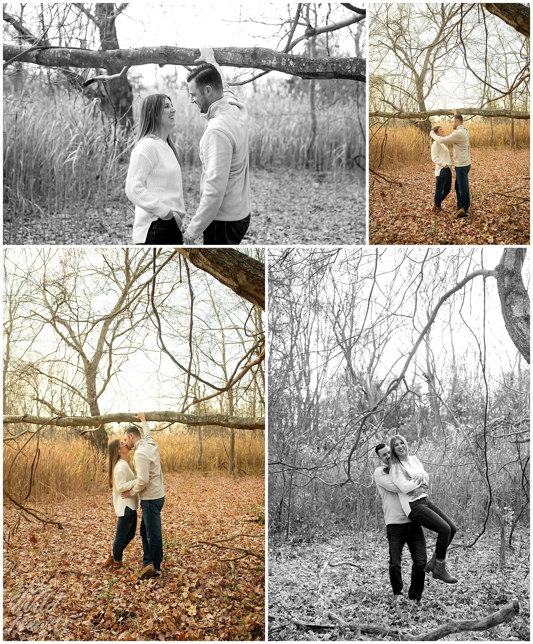 nj_fall_foliage_engagement014.jpg
