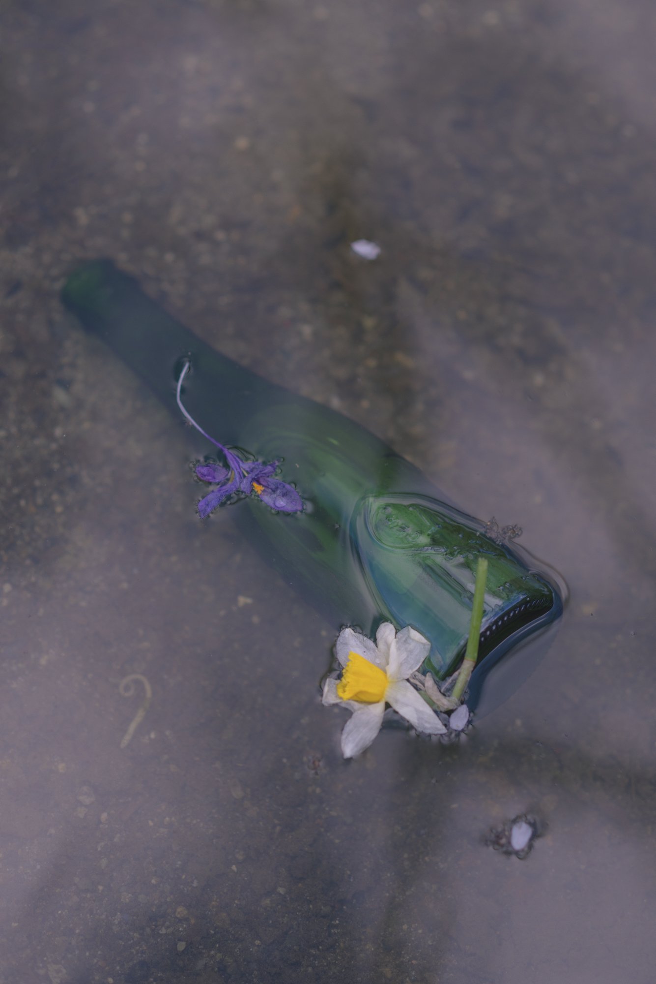 Wine Bottle in the Pond, 2020
Inkjet C-Print Mounted on Sintra
